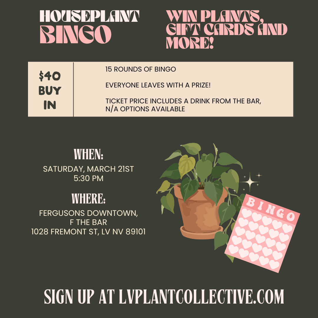LV Plant Collective: Houseplant Bingo