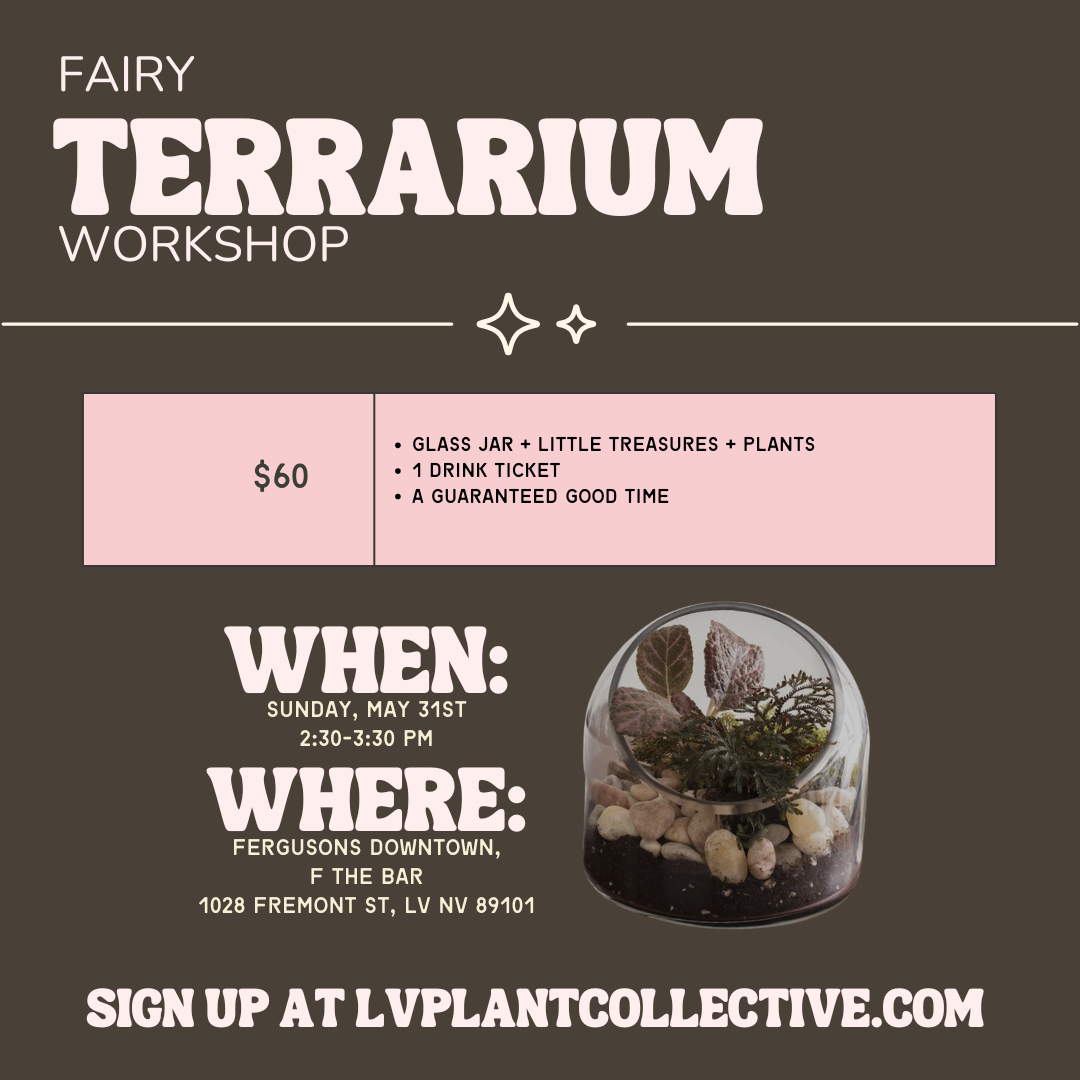 LV Plant Co: Fairy Terrarium Workshop