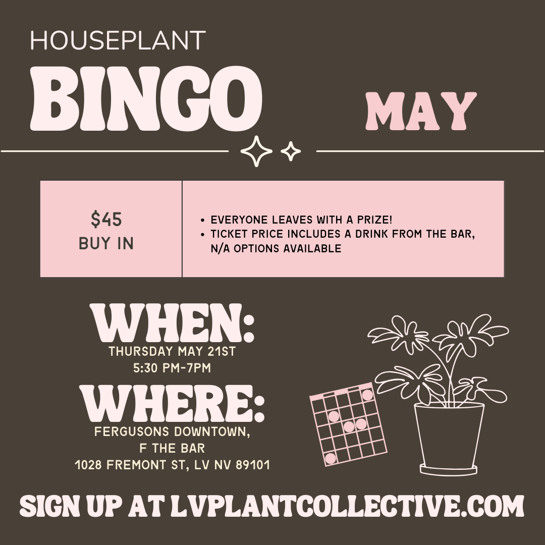 LV Plant Co: Houseplant Bingo