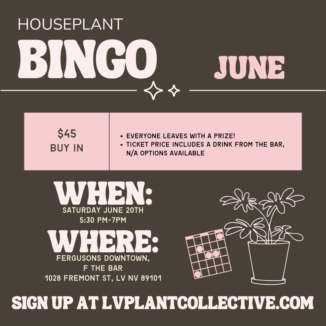 LV Plant Co: Houseplant Bingo