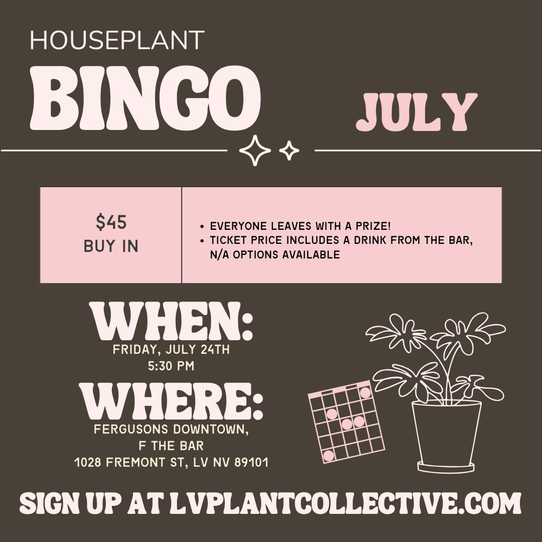 LV Plant Collective: Houseplant Bingo