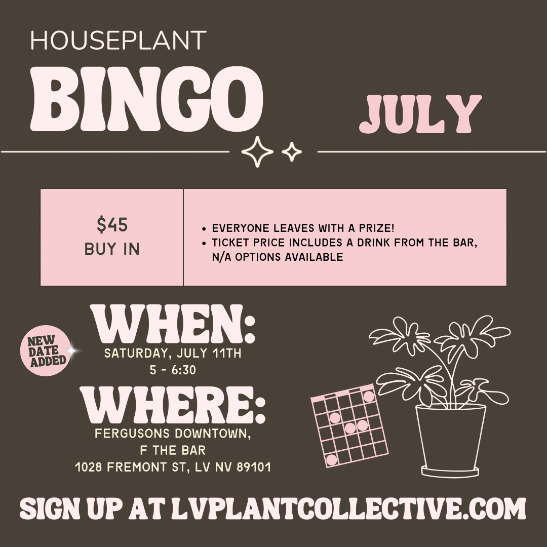 LV Plant Collective: Houseplant Bingo