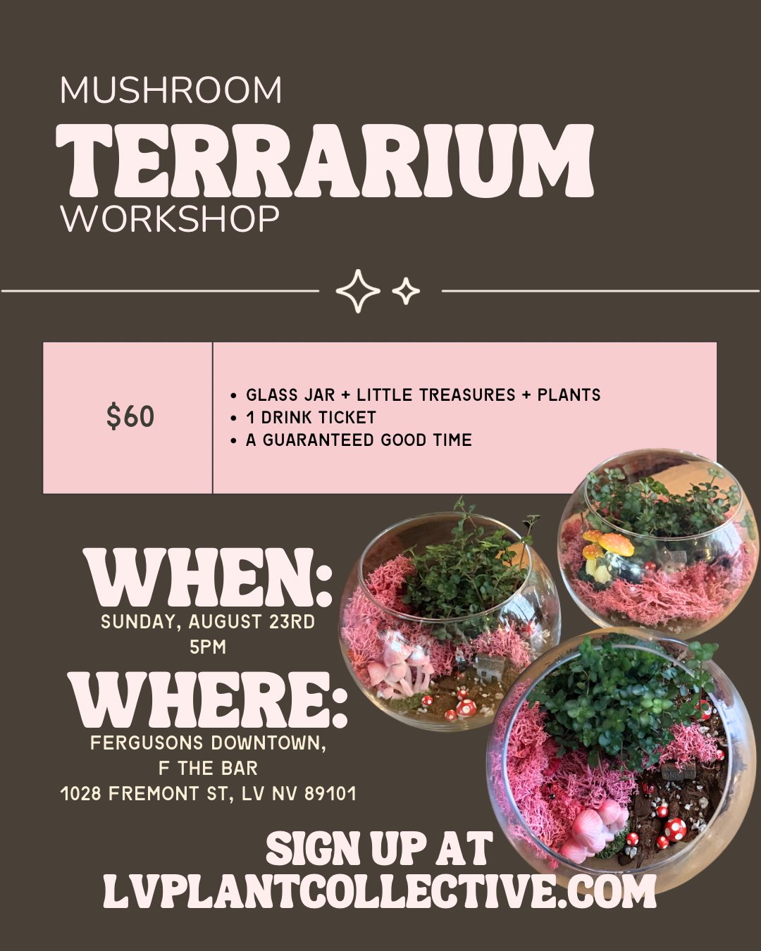 LV Plant: Mushroom Terrarium Workshop