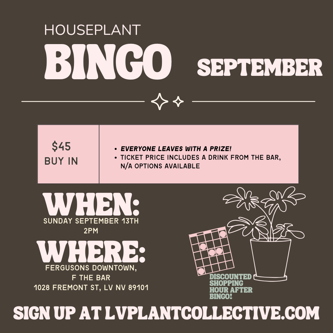 LV Plant Collective: Houseplant Bingo