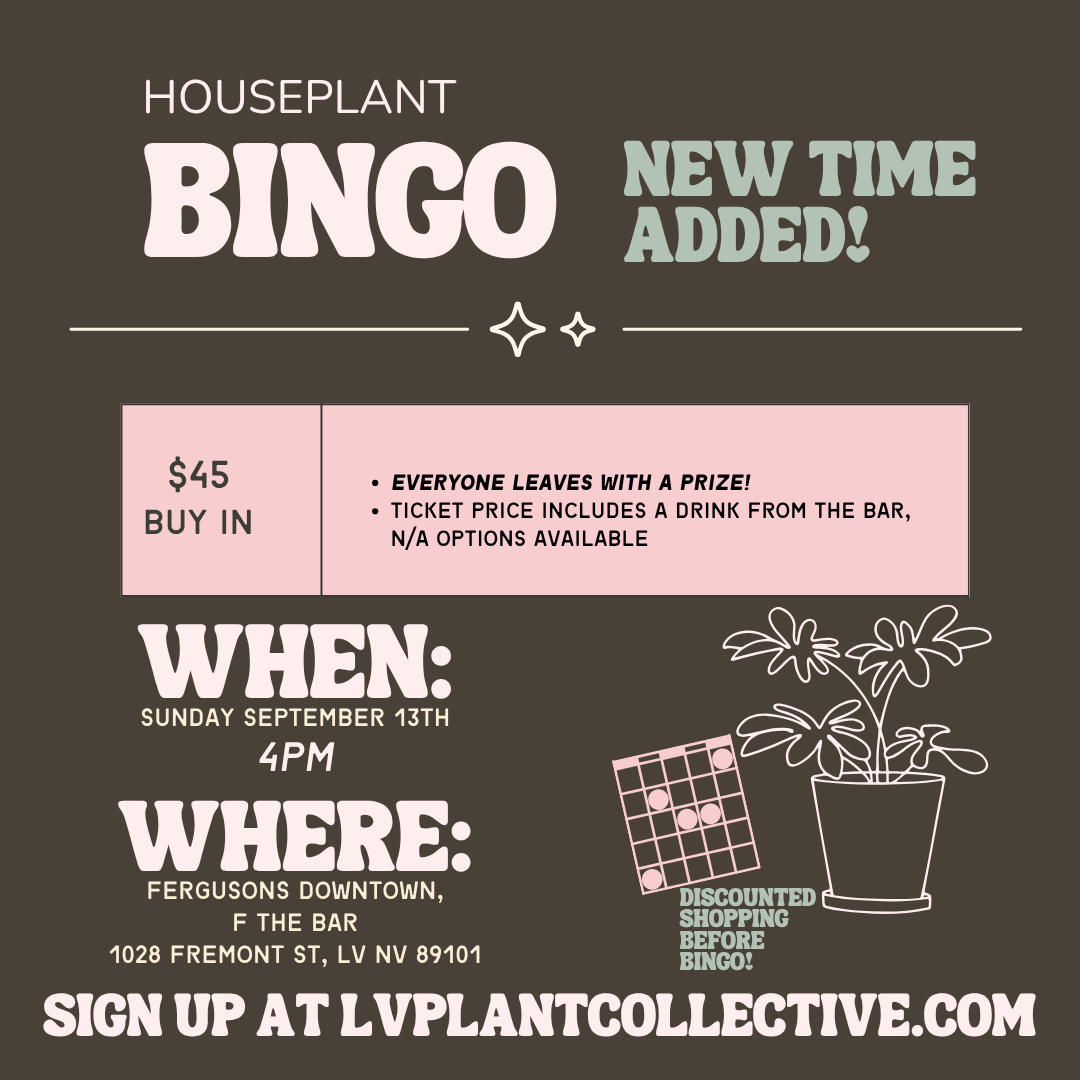 LV Plant Collective: Houseplant Bingo