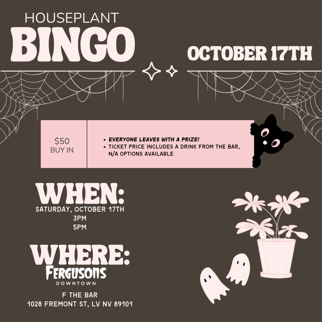 LV Plant Collective: Houseplant Bingo