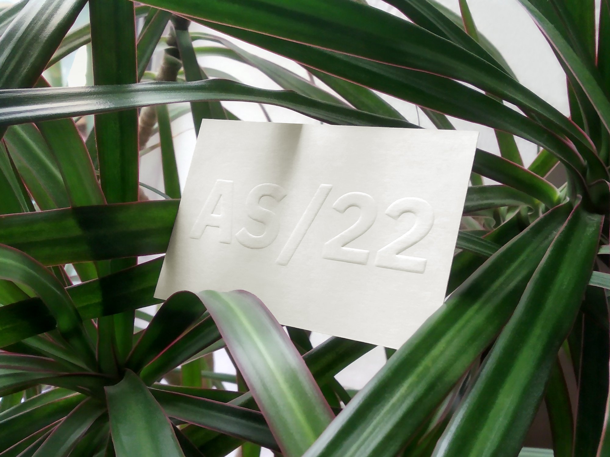 AS22 - Business Card (Plant).jpg