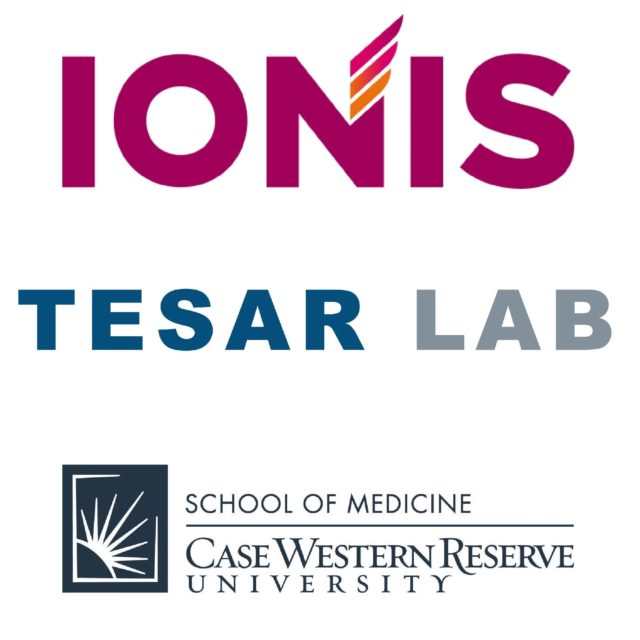 Hero lab online scondary license diytide