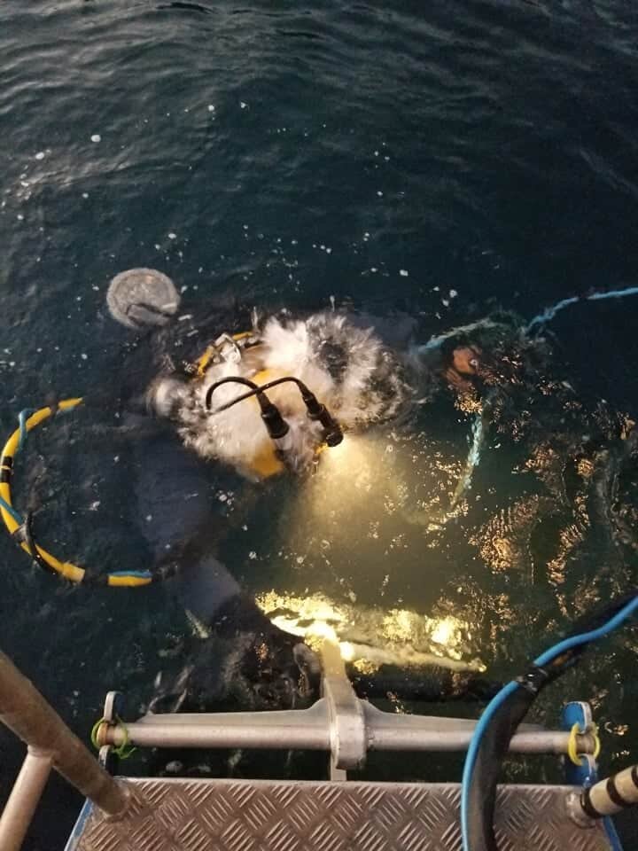 dive1.jpeg
