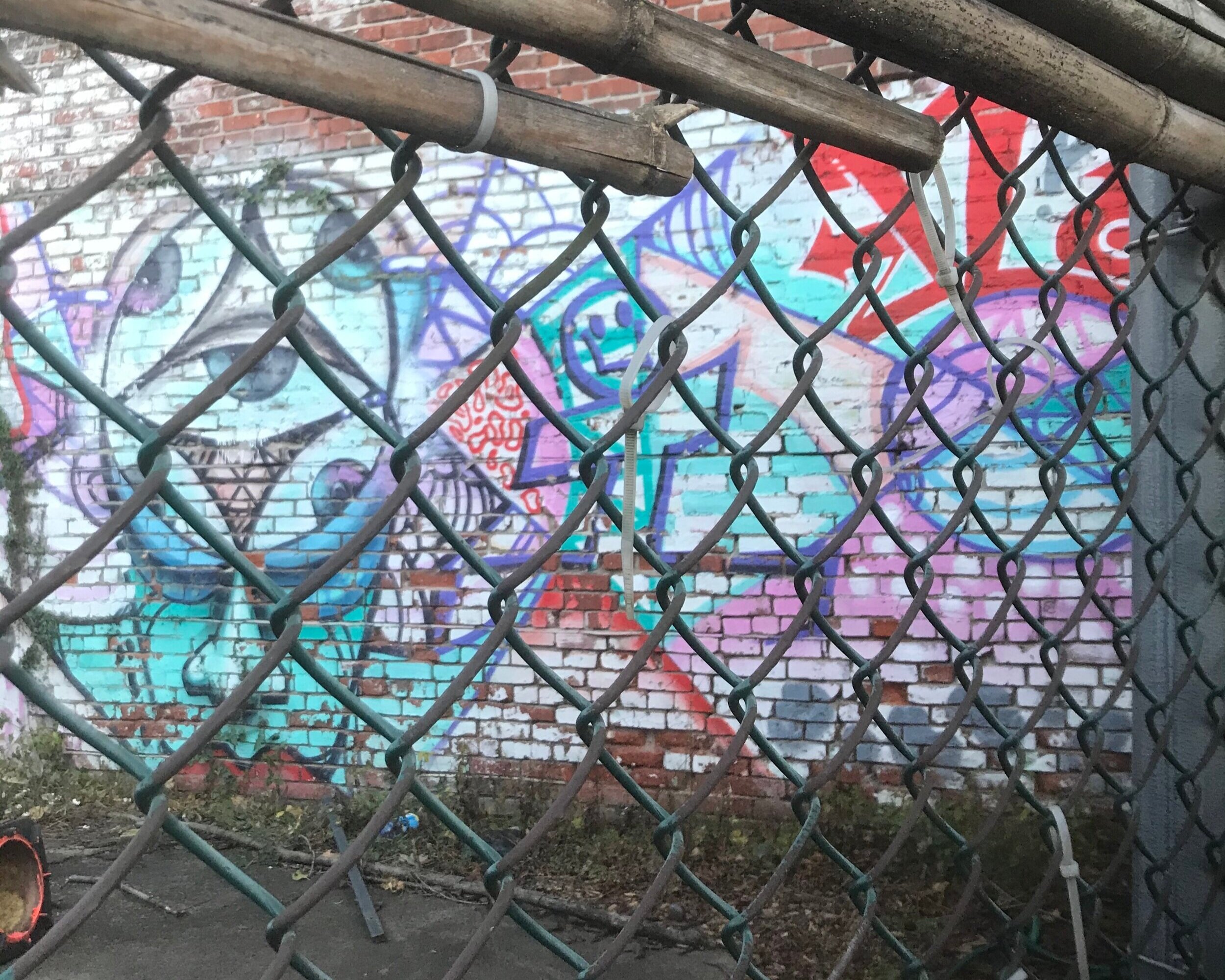 87E9DB3F-D77A-4FF4-A5B5-504F049A1AC6.jpg