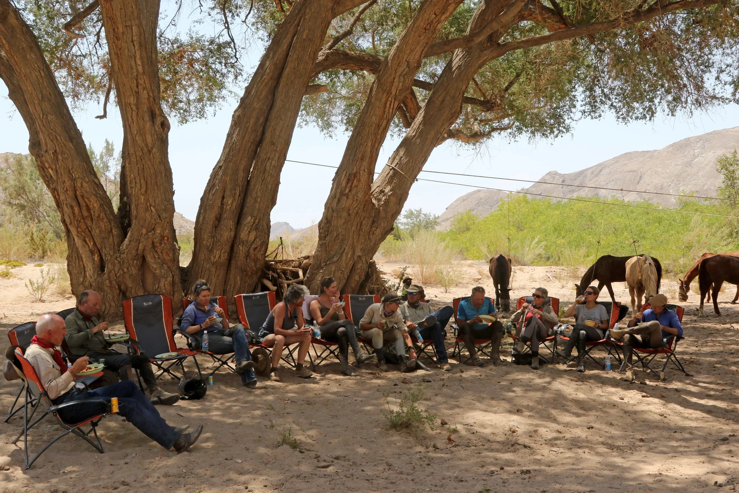Lunch in the shade.JPG