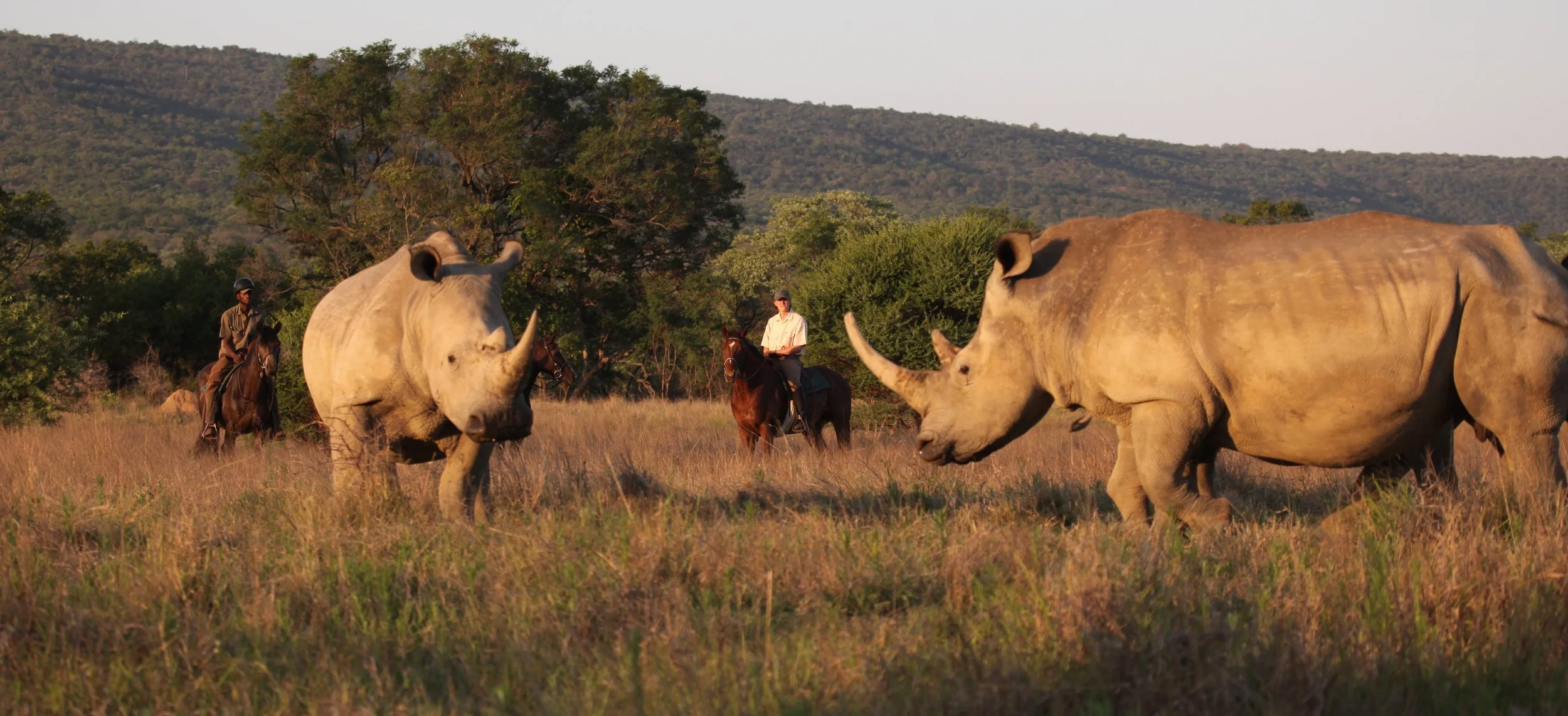Riding safaris at Ant's  (36).JPG