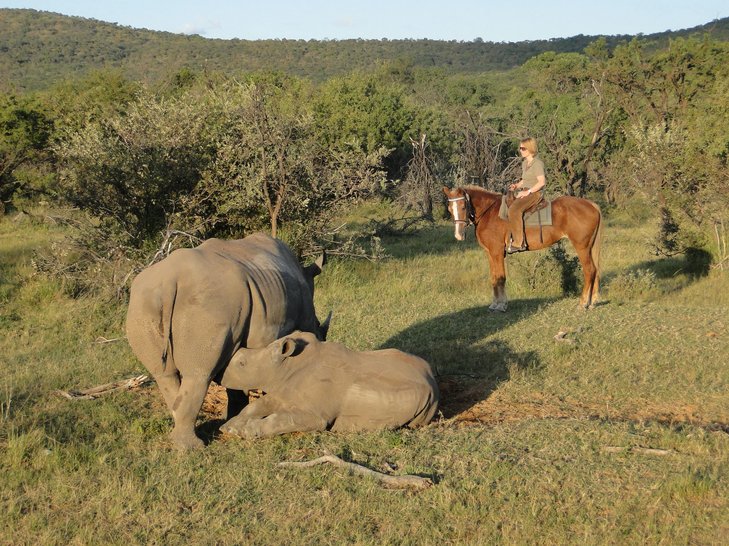 Riding safaris at Ant's  (19).JPG