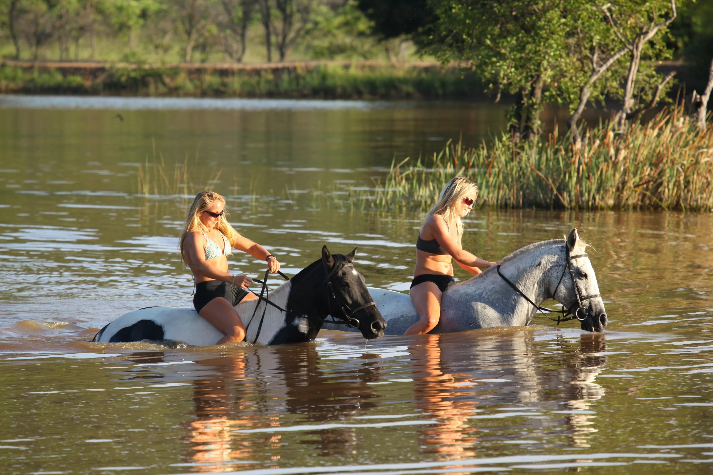 Riding safaris at Ant's  (18).JPG