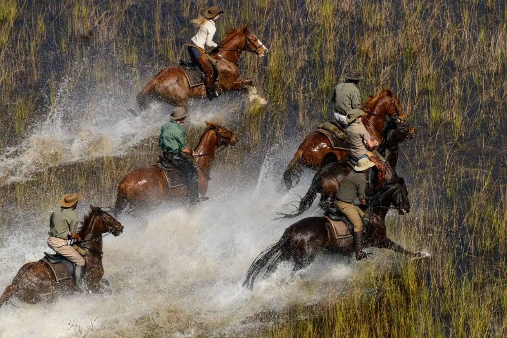 WHEN TO TRAVEL TO BOTSWANA ON A RIDING SAFARI