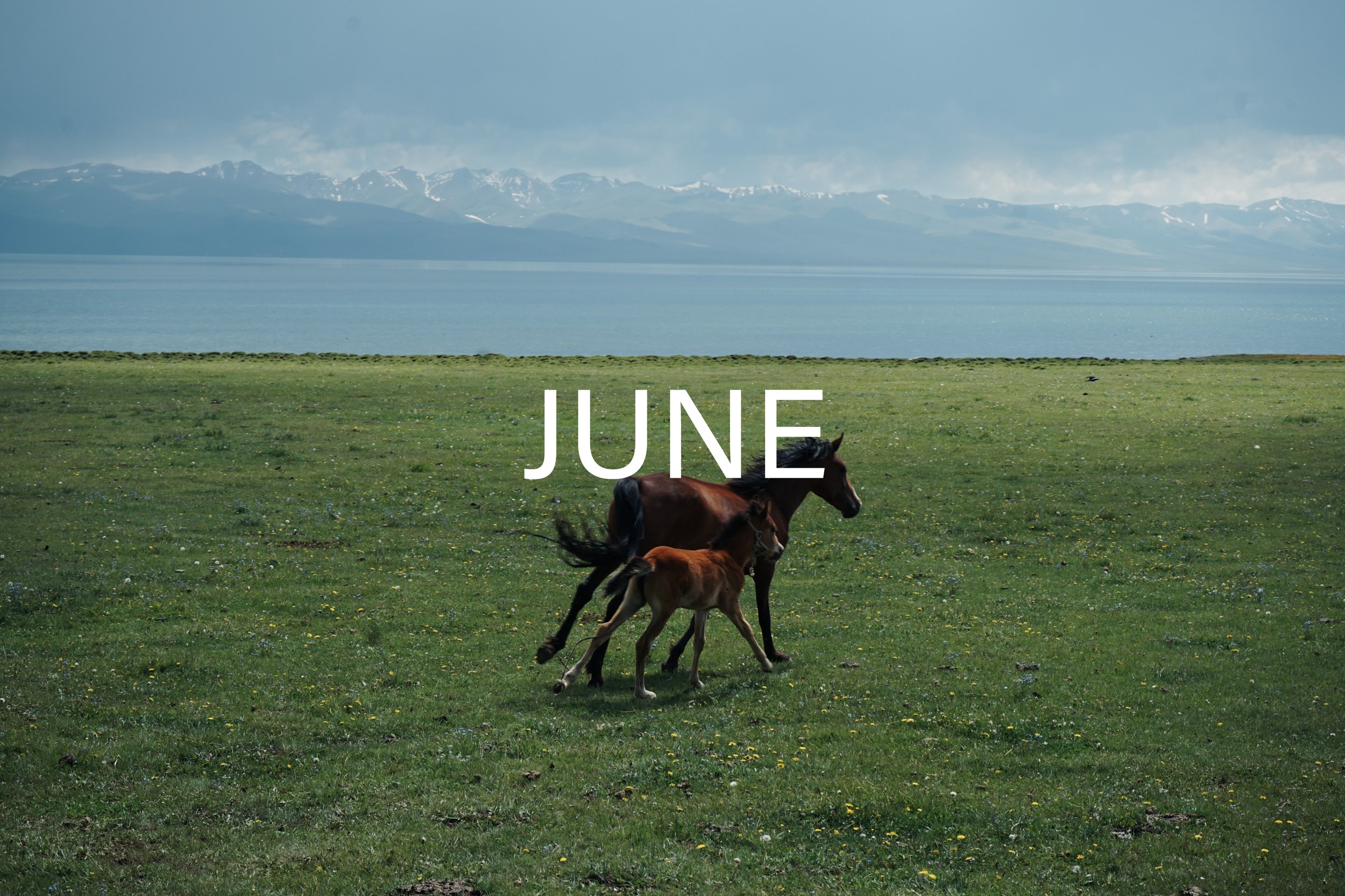 June.JPEG