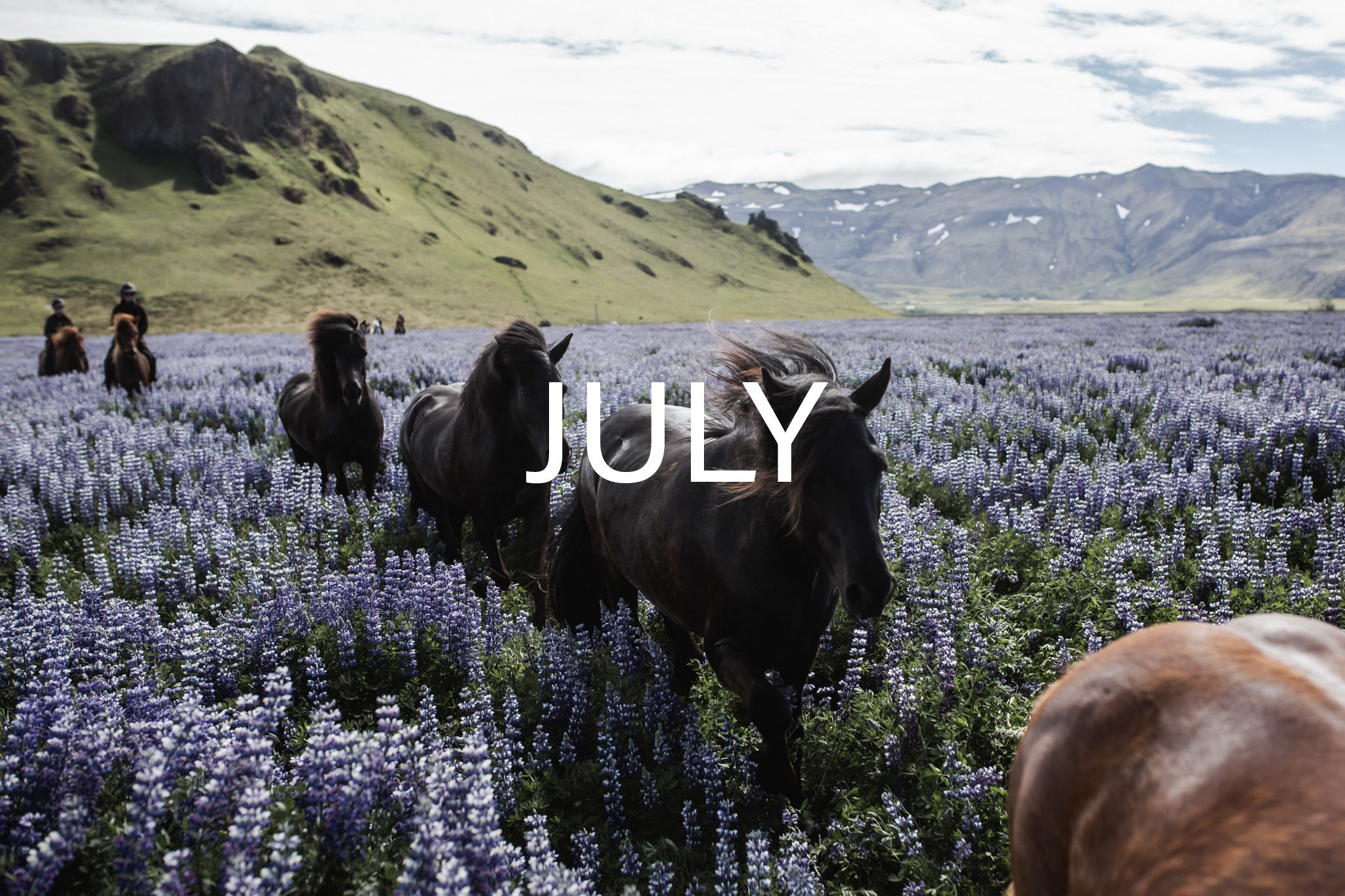 July.JPEG