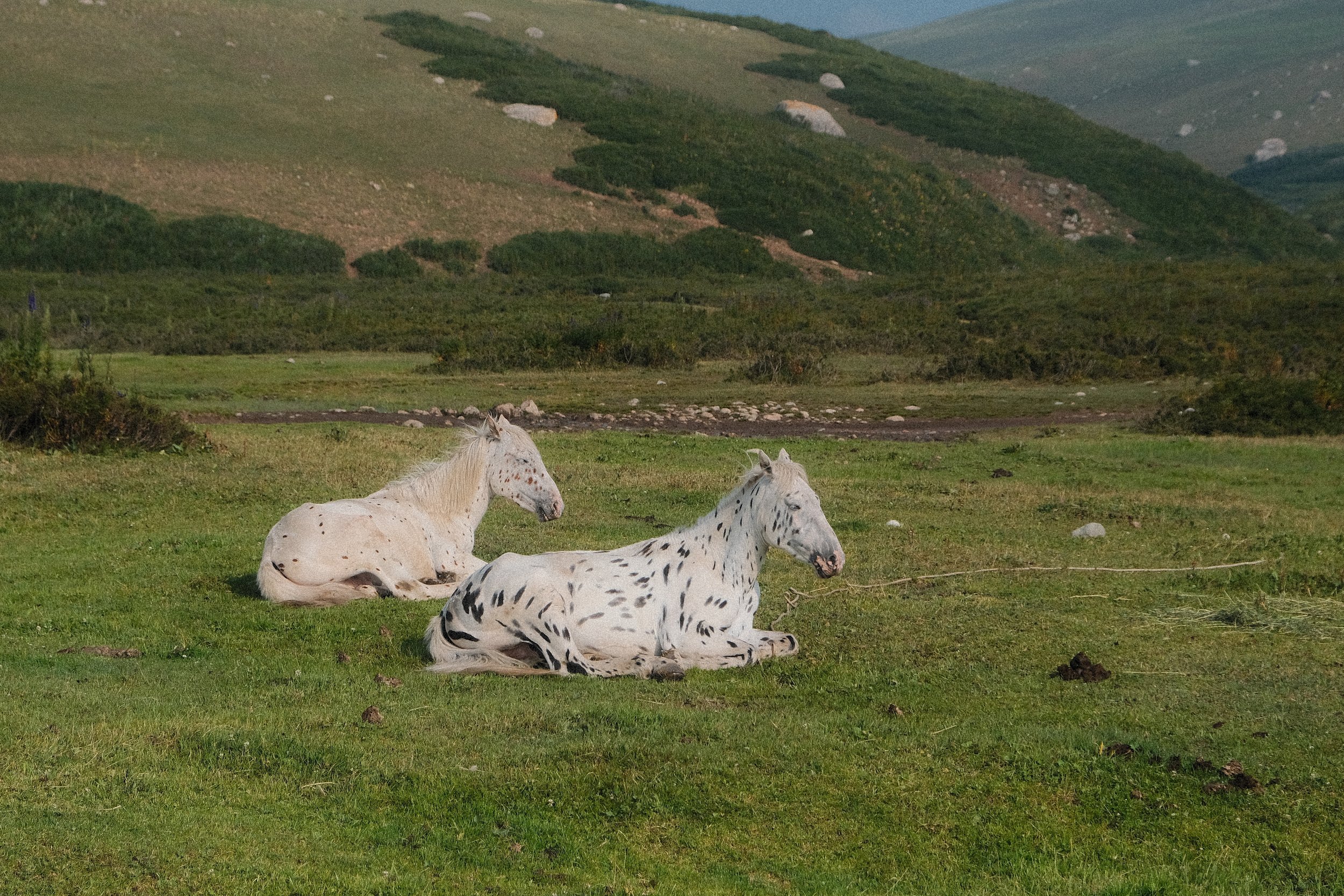 DSCF7174.jpg.webp