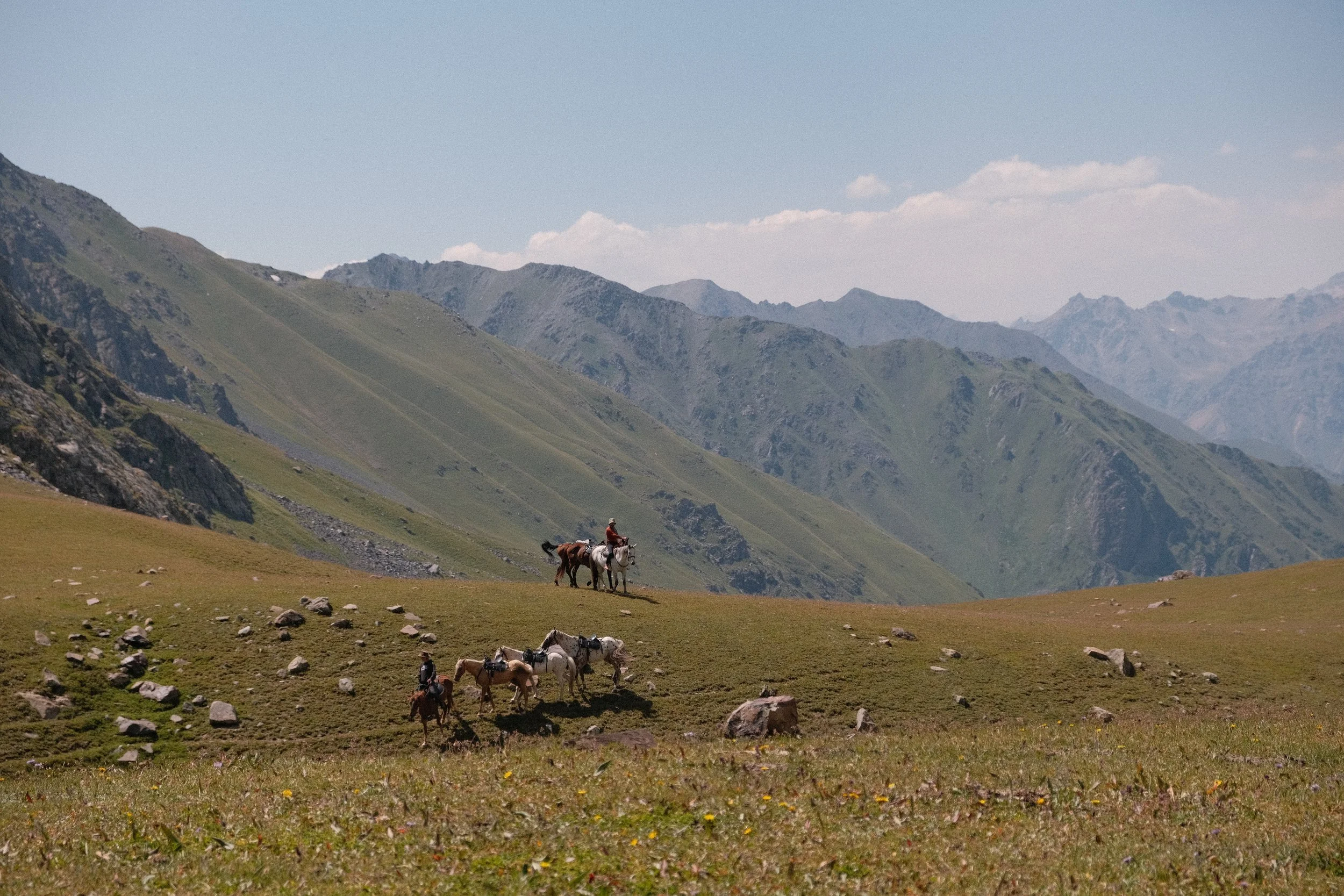 DSCF7249.jpg.webp
