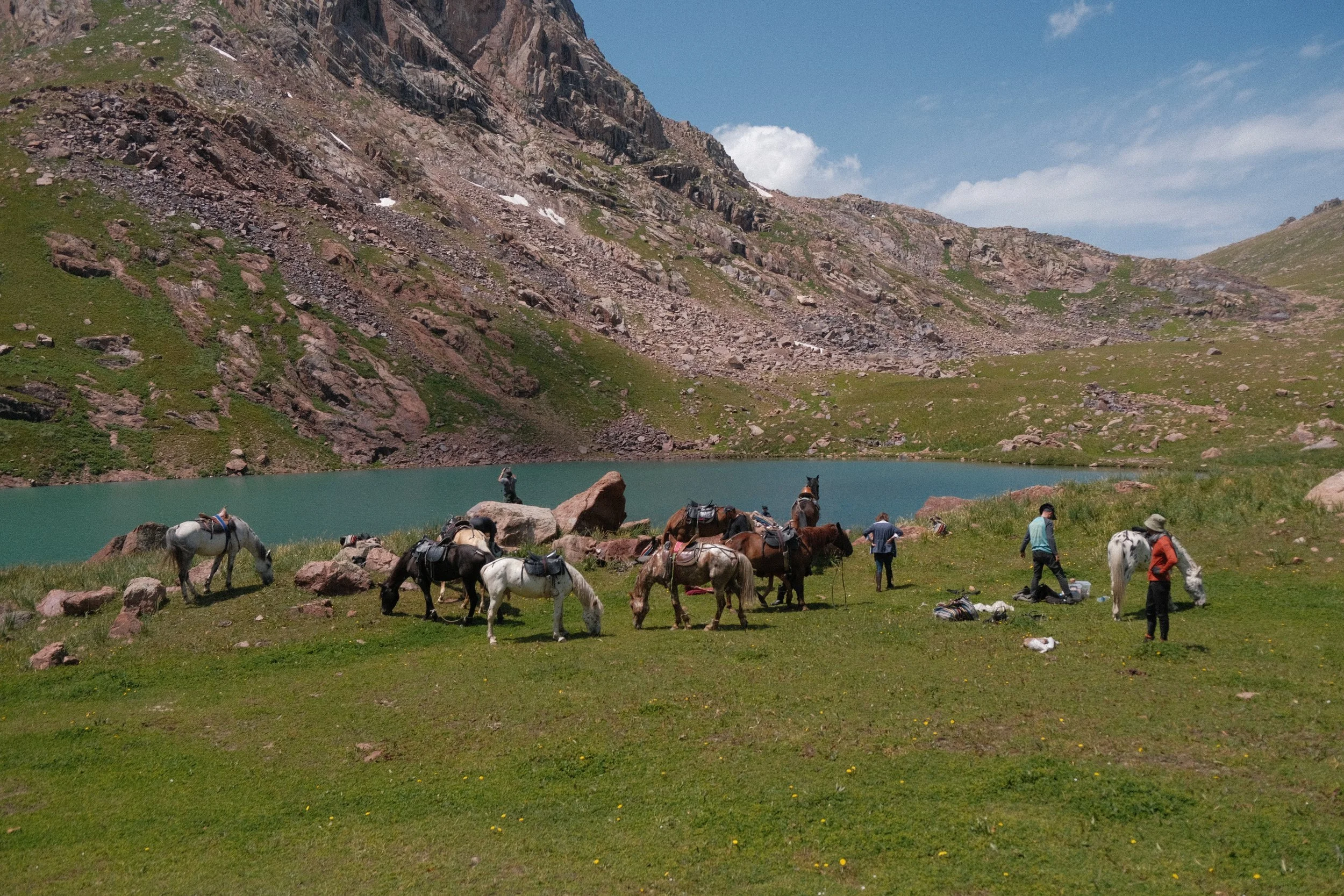 DSCF7323.jpg.webp