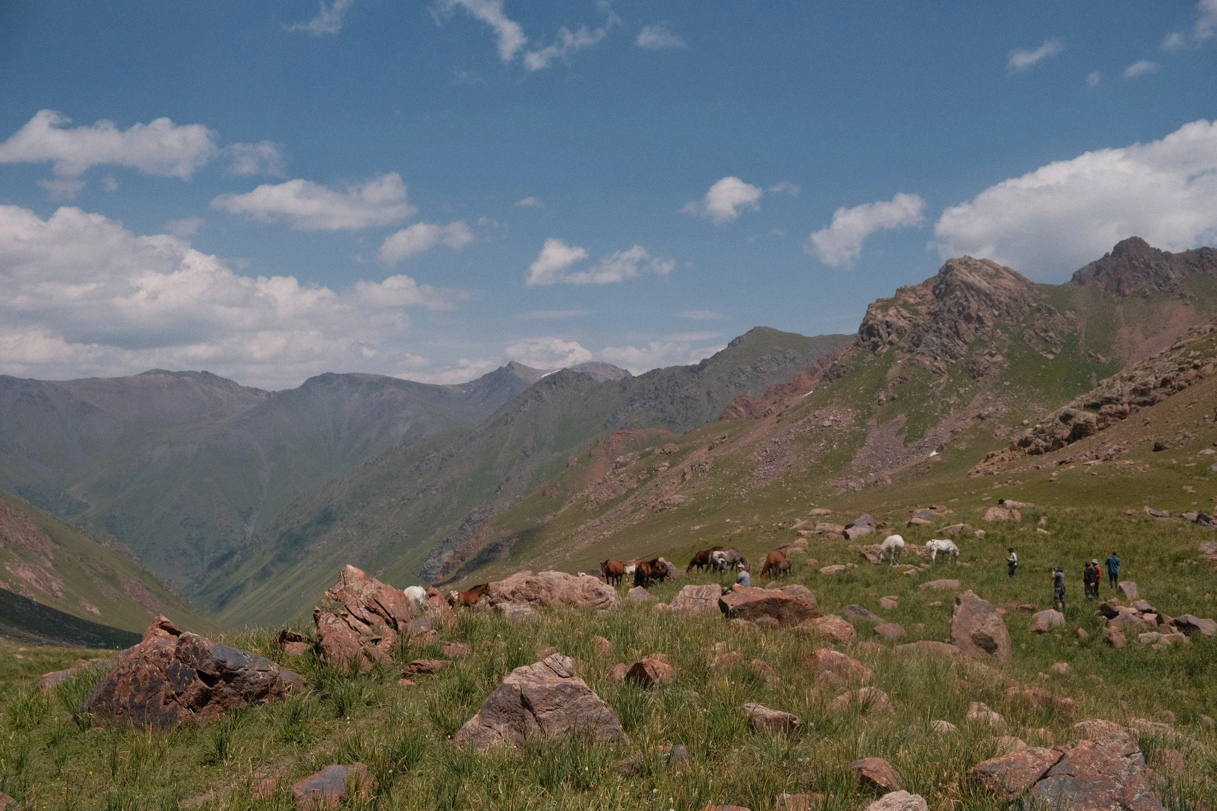 DSCF7400.jpg.webp