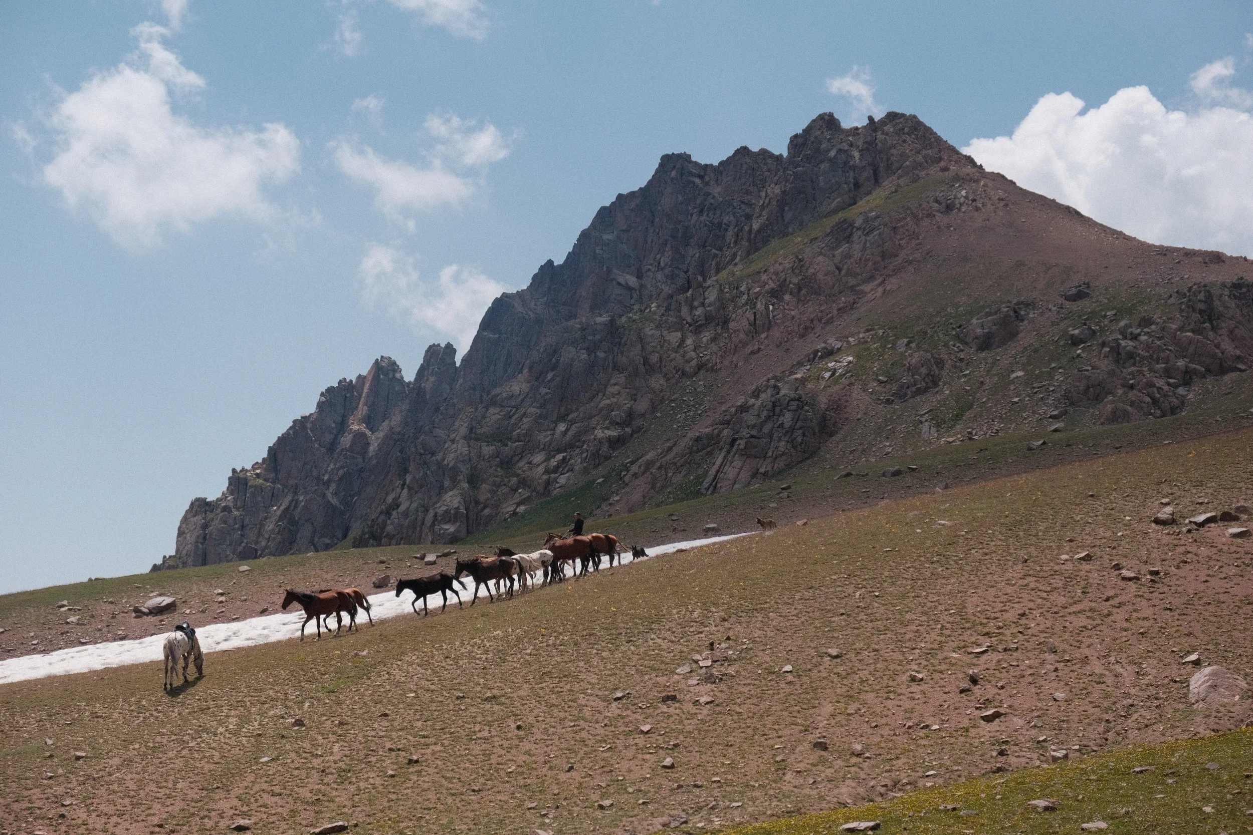 DSCF7869.jpg.webp