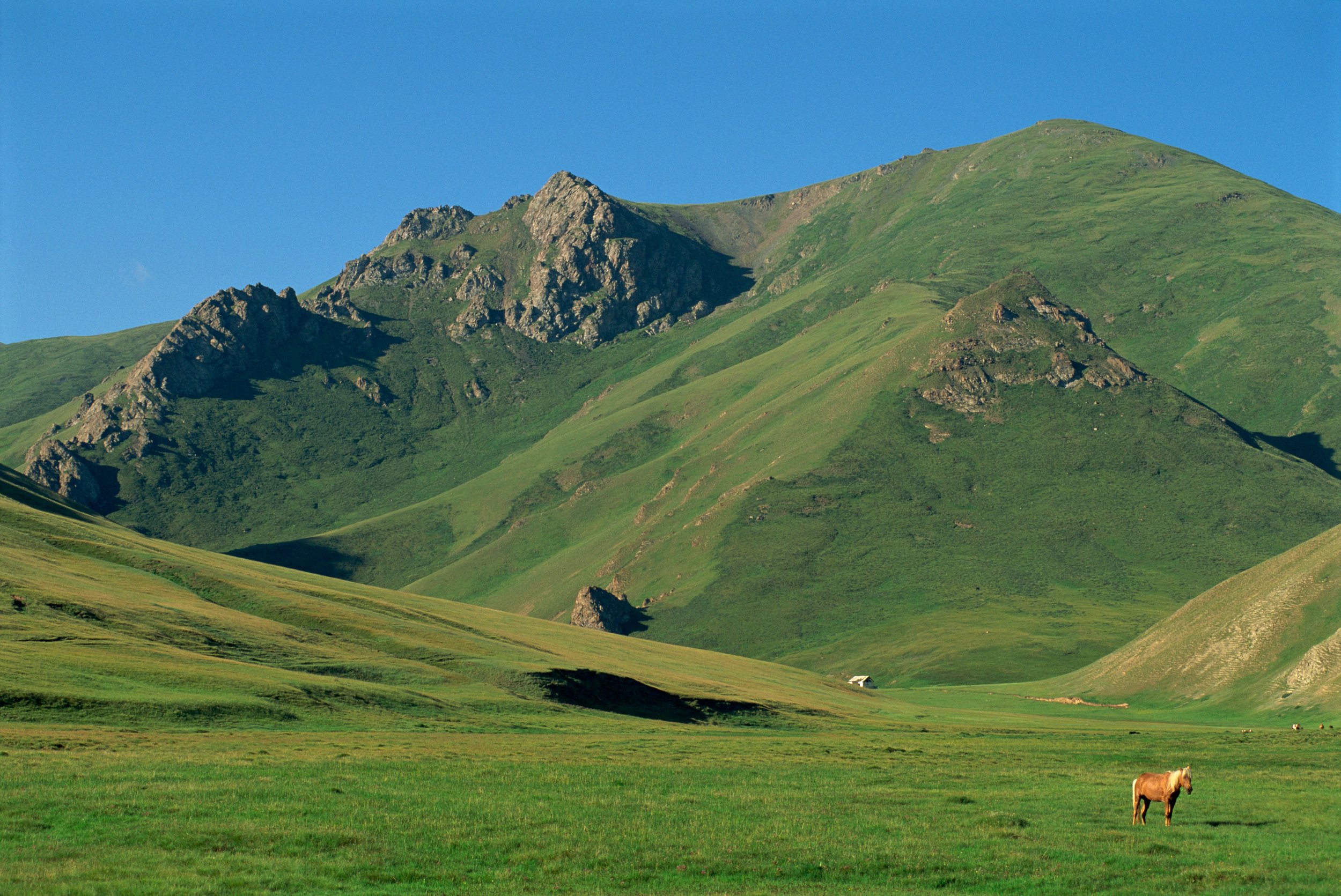 Kok Kiya_2428224705.jpg