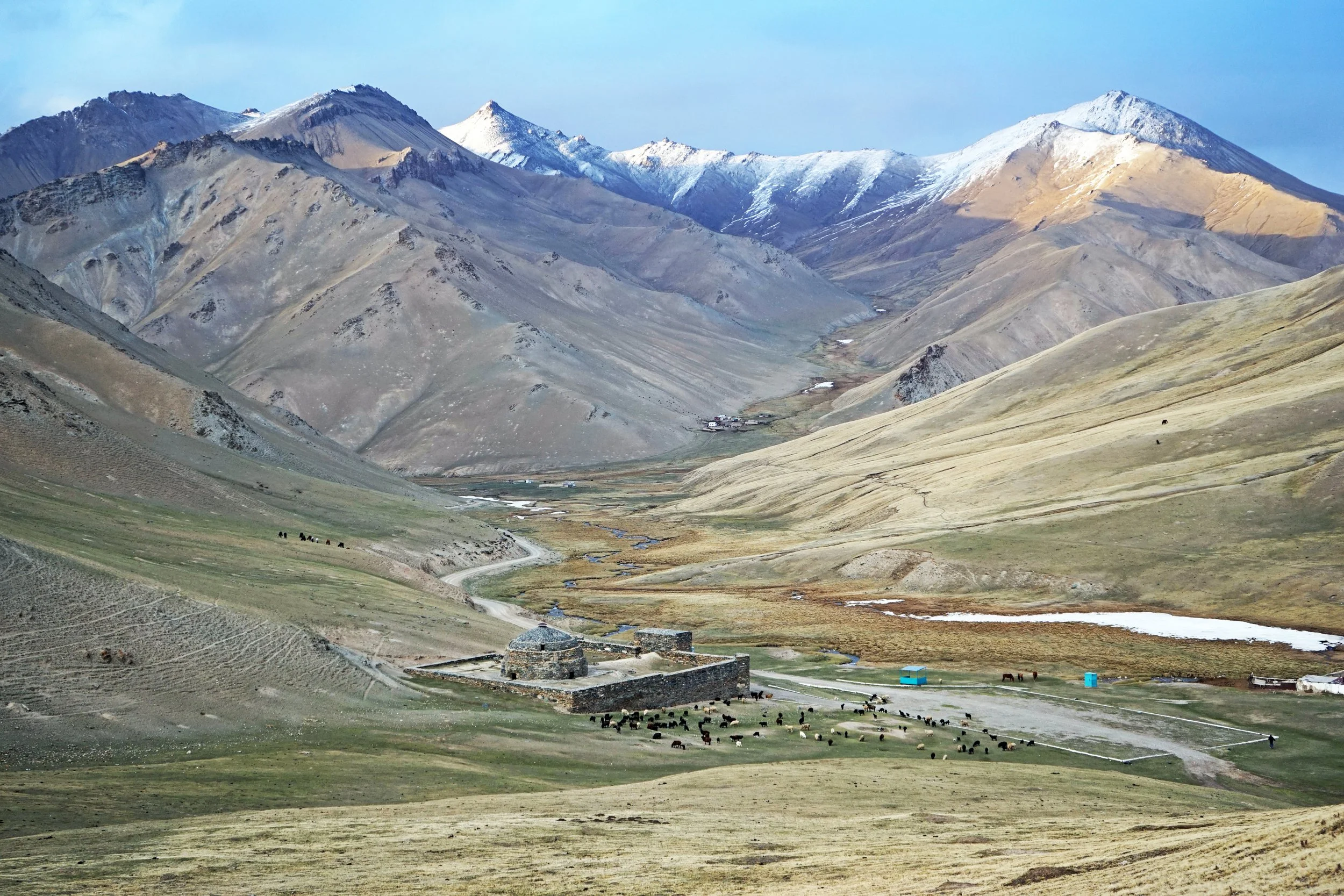 Kok Kiya_386730727.jpg