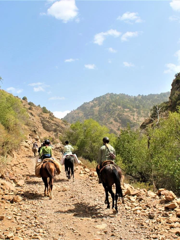 HC_9bf53cb8526226ffc4832673247ba5082a93fb619290a5f0f76c68220fbc30d1 (1).jpeg