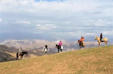 HC_29e0a02e97e78cd5f64f050a9aa08ef266c63df0f8f045543cd792065c7cd9de (3).jpeg