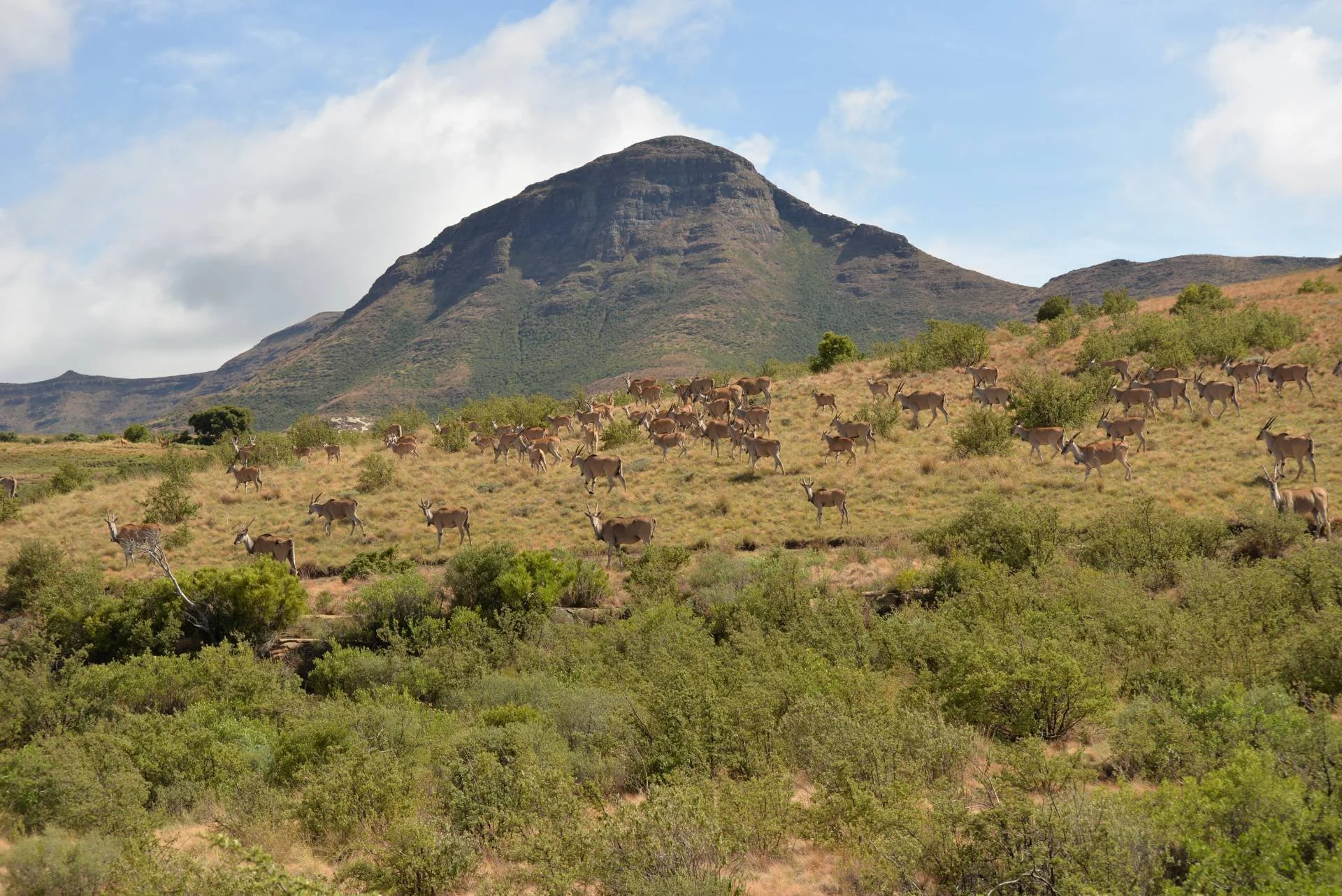 DSC_0401-1.jpg