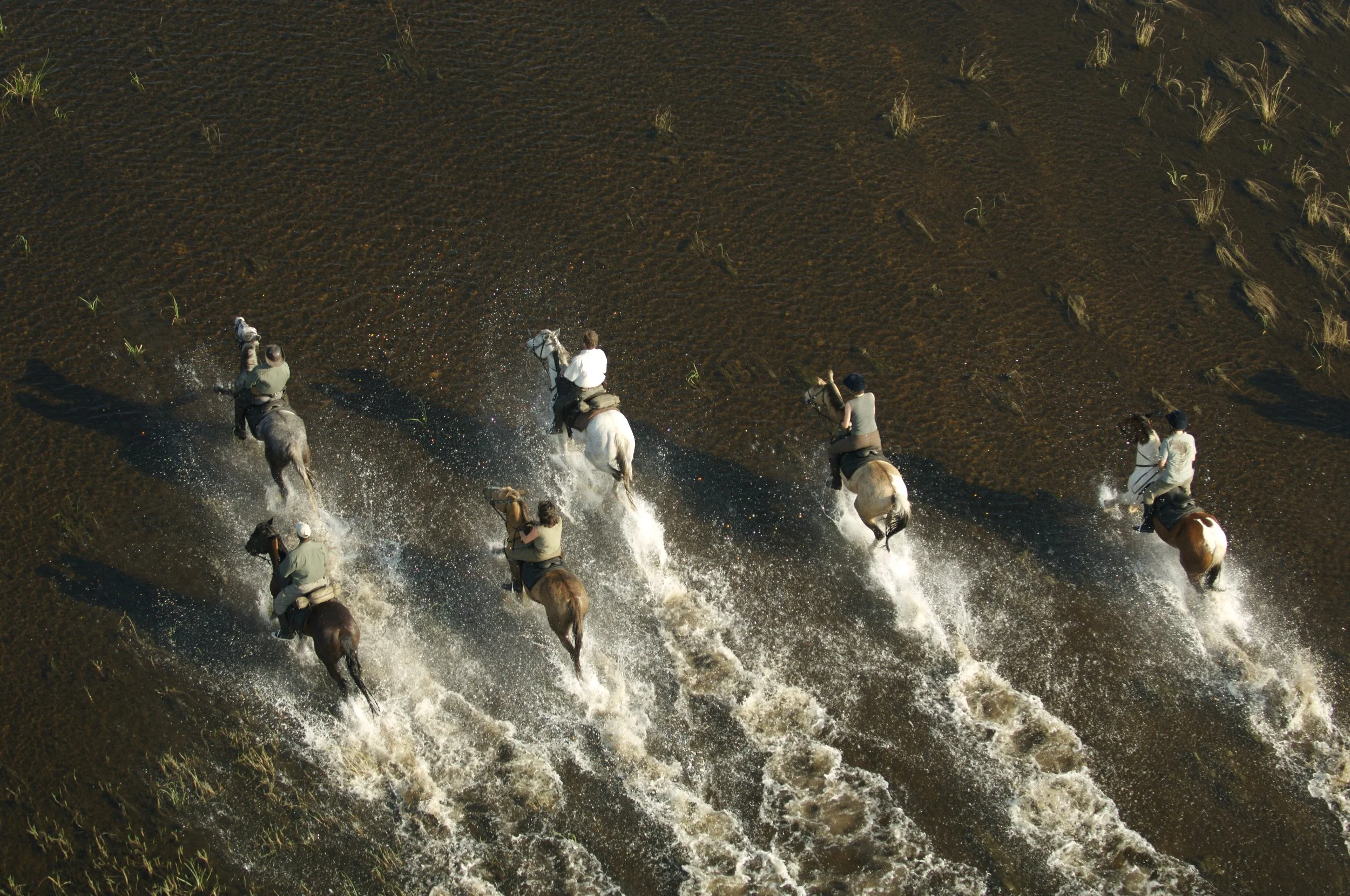 AHBS Riding 37.jpg