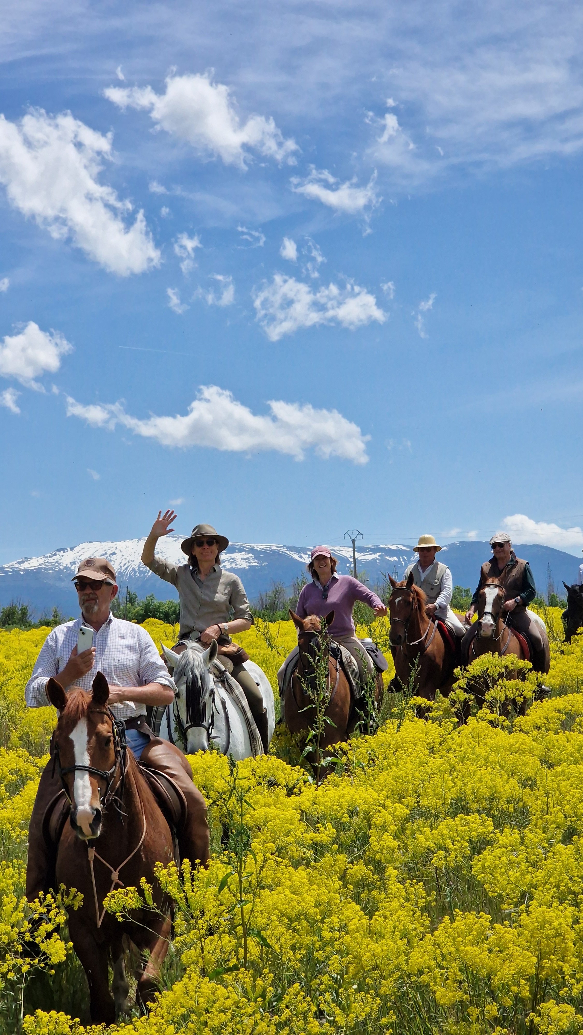 Day 2 - Yellow Flowers.jpg