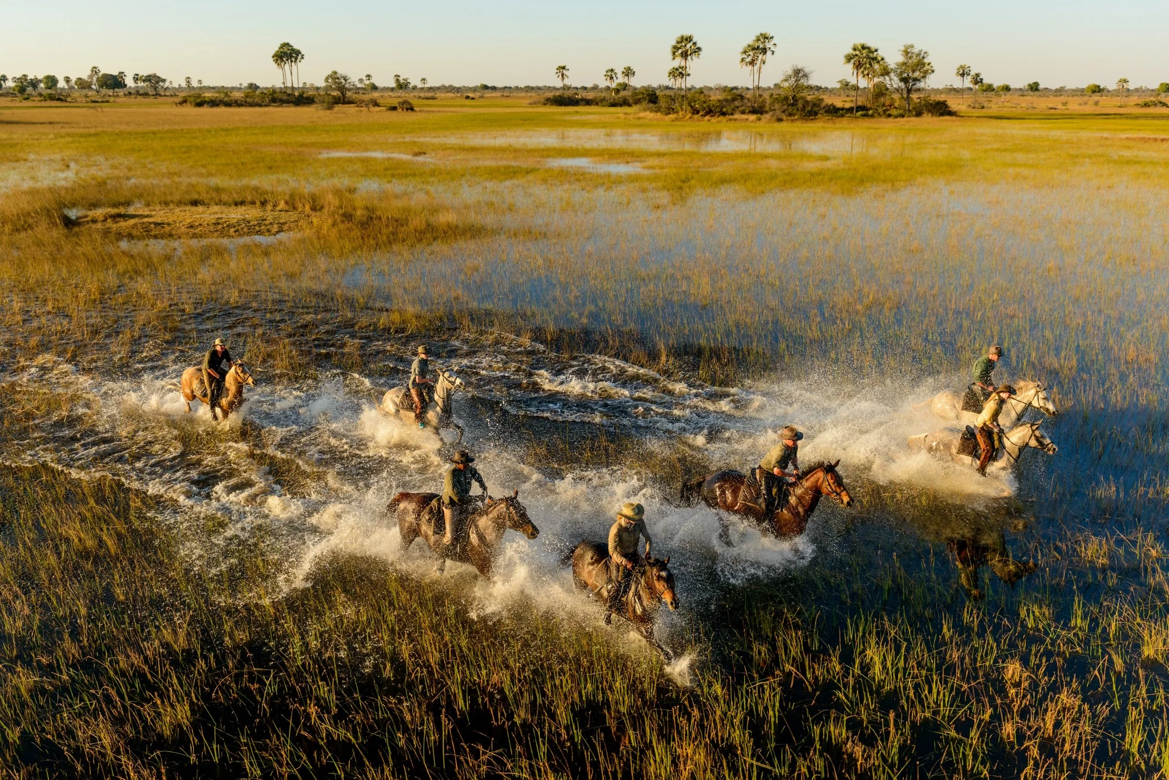 AHBS Riding 95.jpg