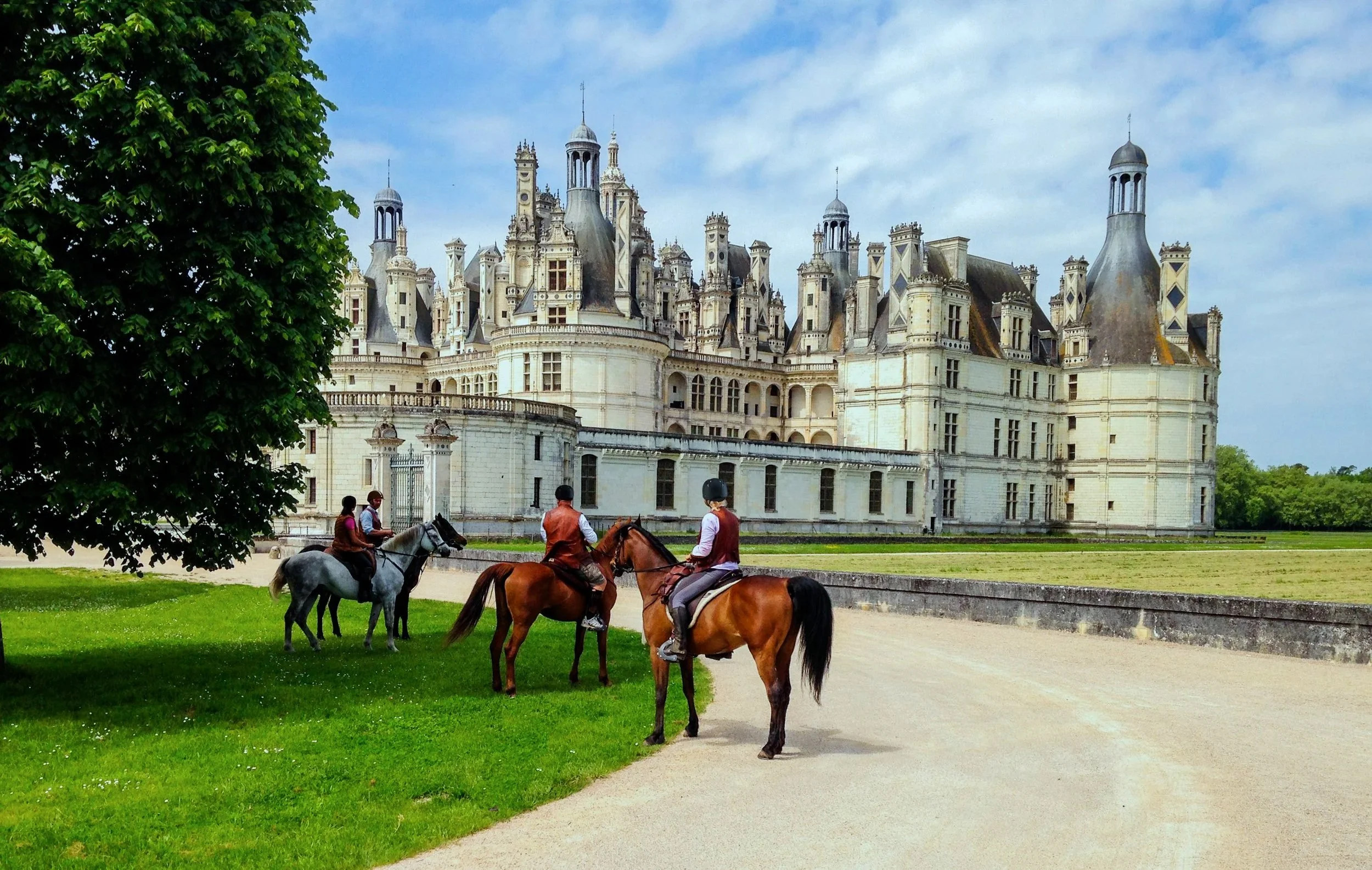 IMAGE 1 CHATEAU (2).jpg