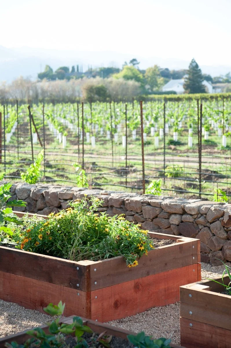 Photos by Elizabeth Messina