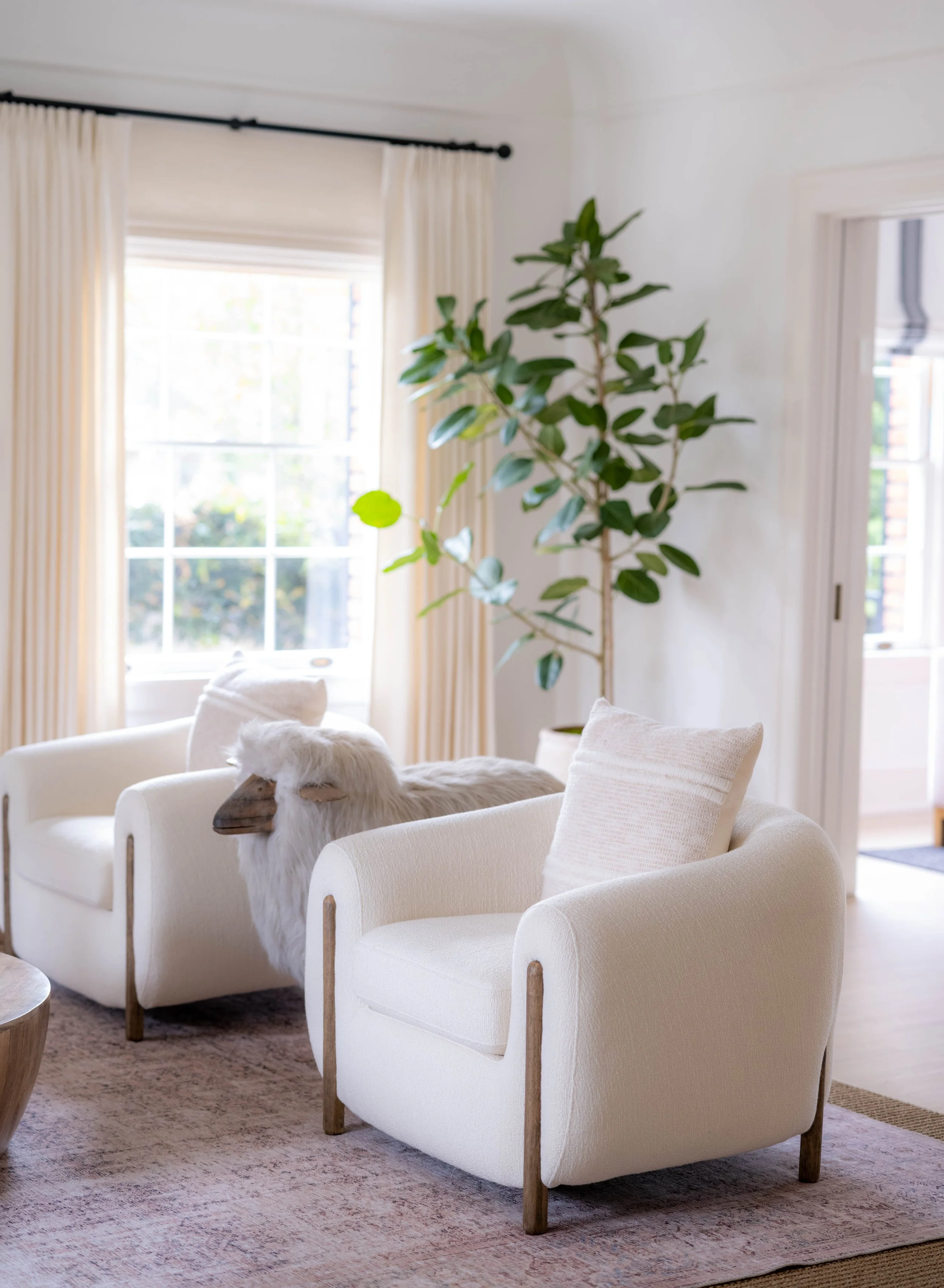 138_elizabethmessinaERINatHOME.jpg