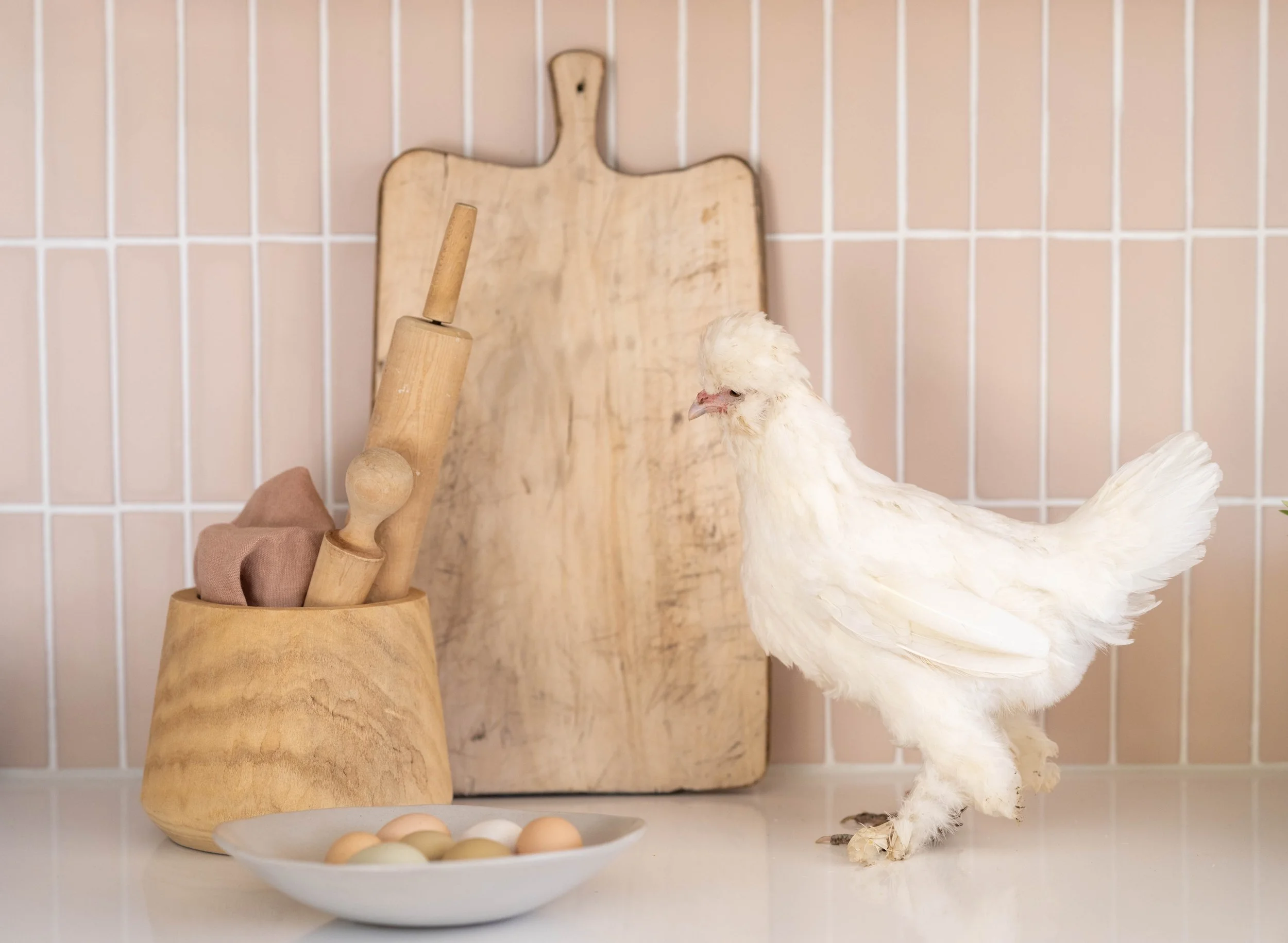 0130elizabethmessinaHOOPES (1).jpeg