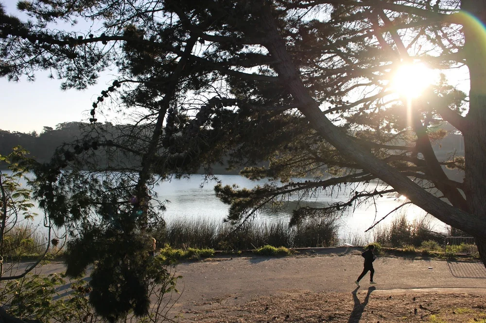  When I first got a DSLR, I went to Lake Merced to test it out! 