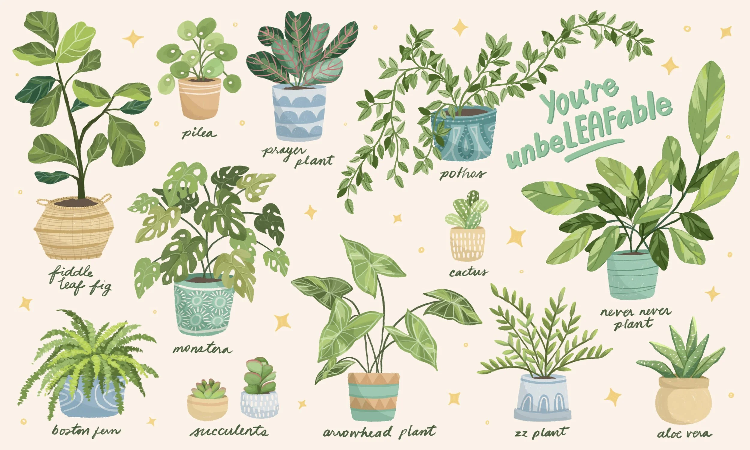 Brightly Wishcloth Houseplant FINAL.jpeg