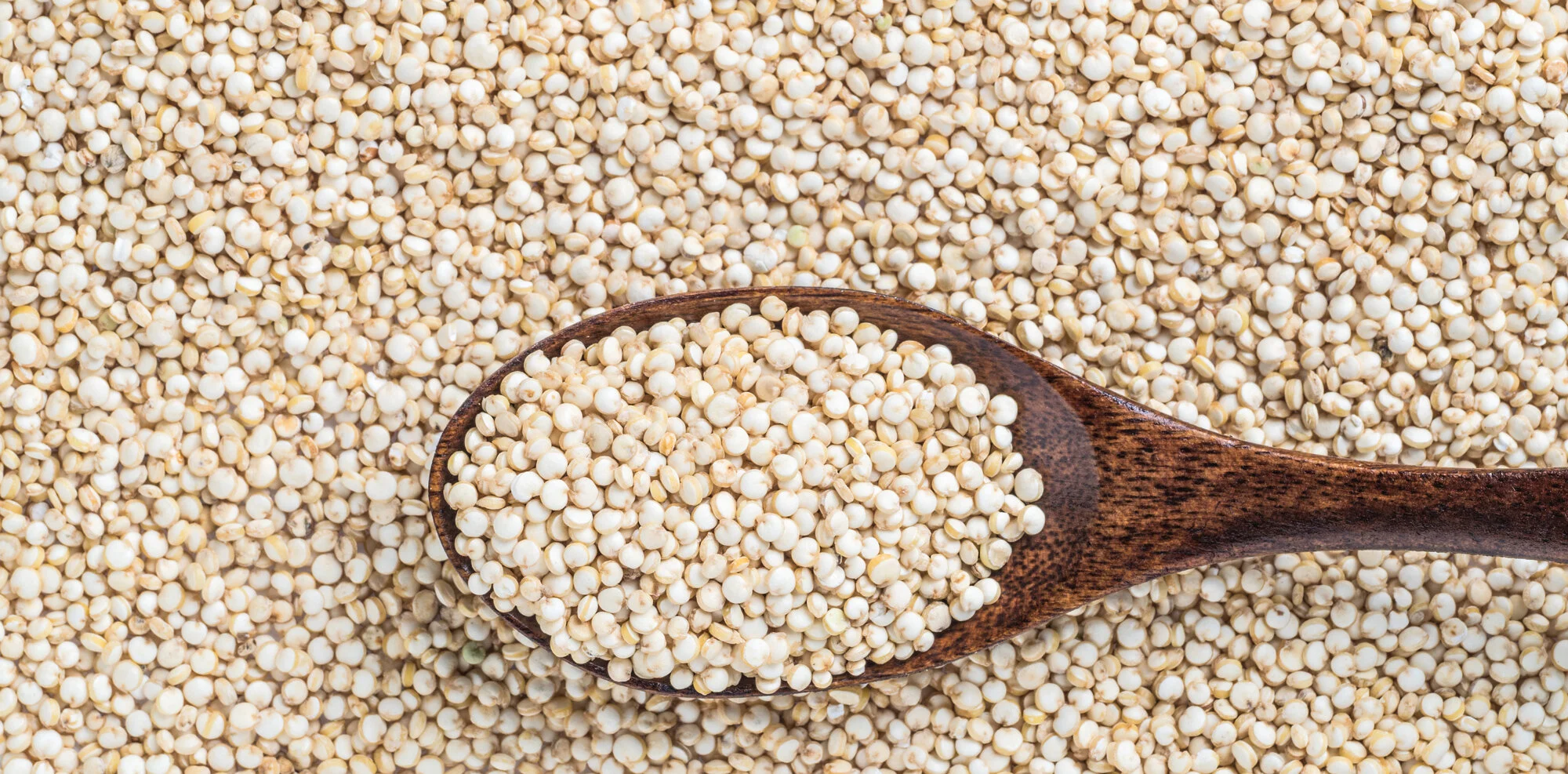 bigstock-Grain-Of-Quinoa-Uncooked-Raw--281726302--web.jpg