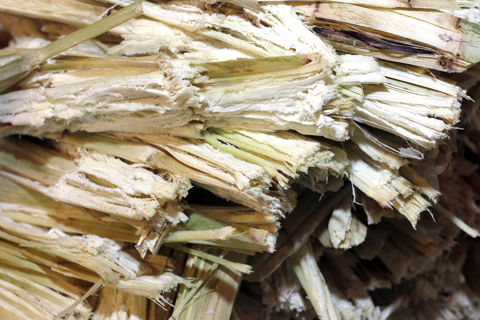 bigstock-Residue-From-Sugar-Cane-Juice--275035999.jpg