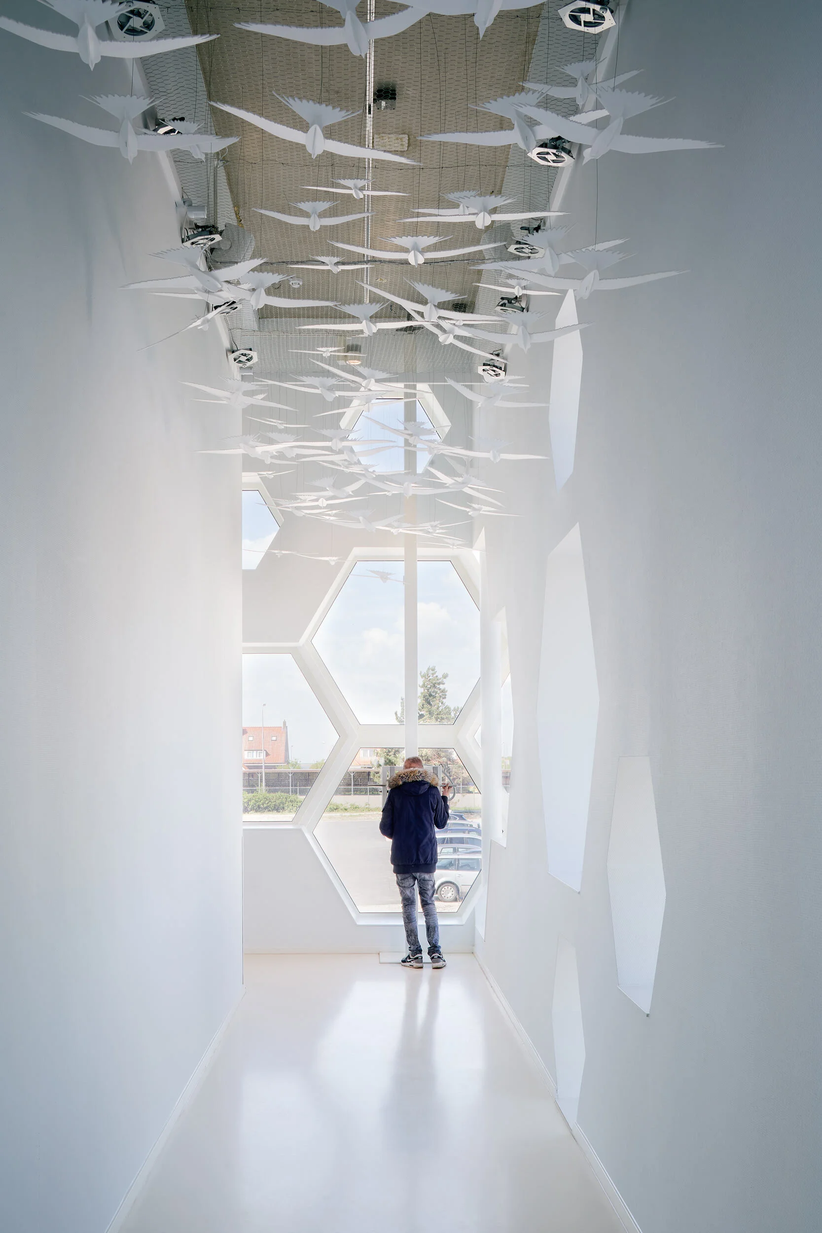 A hallway inside the Afsluitdijk Wadden Center Kornwerderzand of a person looking out below sculptured birds hanging from the ceiling