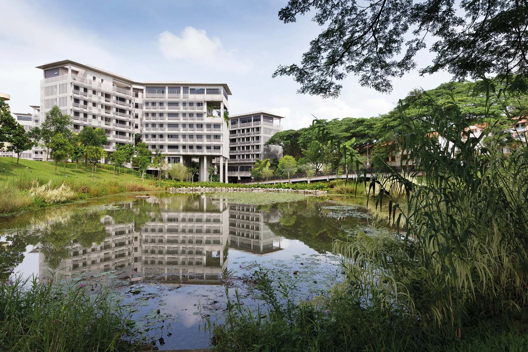 NTU Pioneer Hall and Crescent Hall