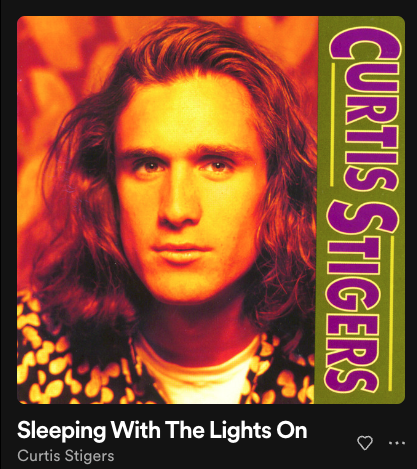 "Sleeping With The Lights On" - Curtis Stigers (Clive Davis) (BMG)