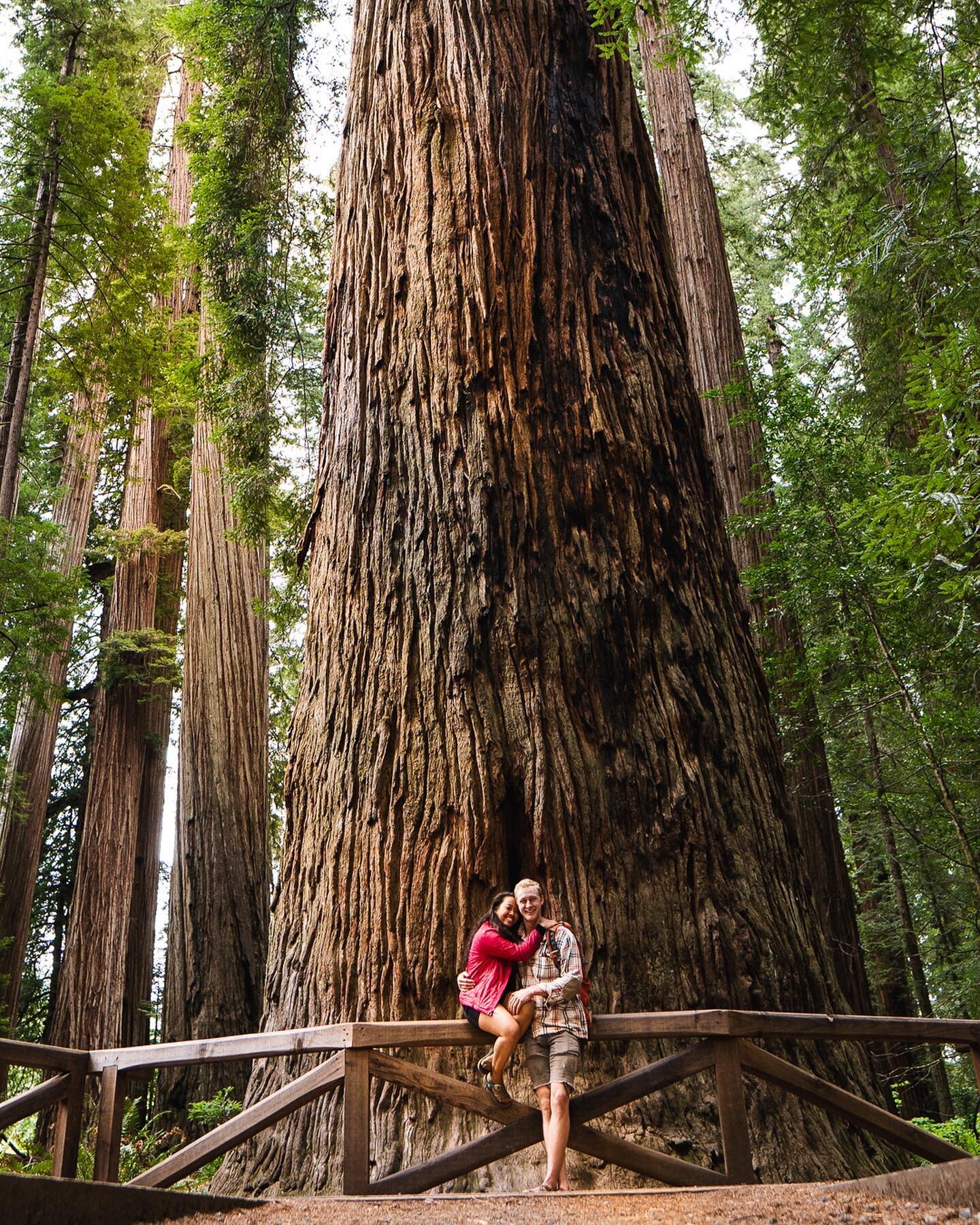 Found me the tallest man I could find, and brought him to see the tallest trees! (He&rsquo;s 6&rsquo;3 and I&rsquo;m 4&rsquo;11) Here&rsquo;s our photo op with the largest tree in the world! 🥲 
Ticked off another national park, and oh boy it might b