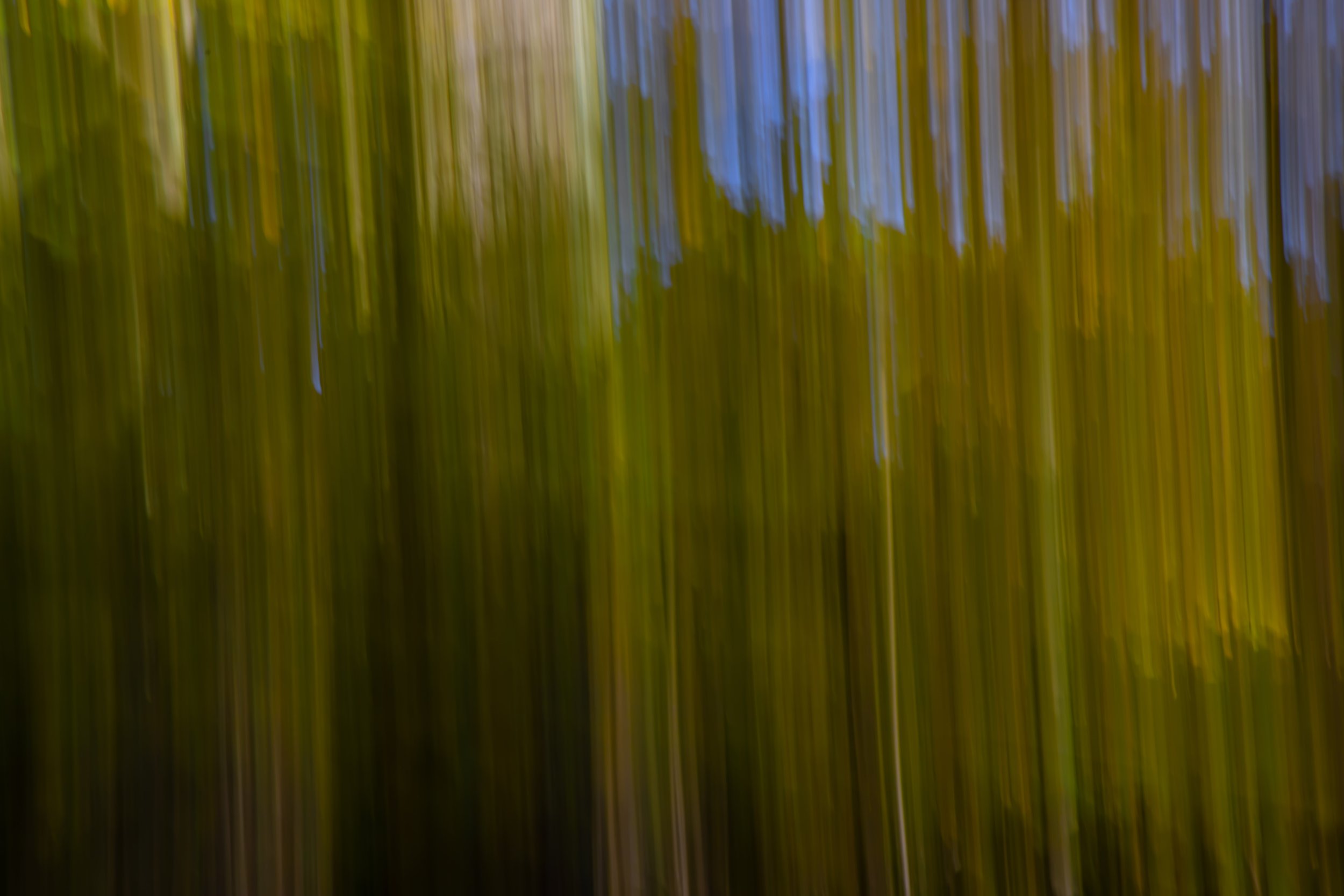 _MG_3661.jpg
