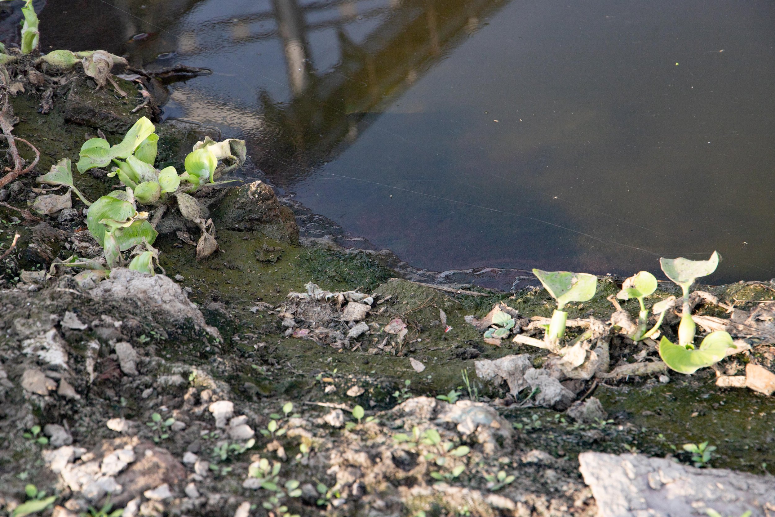_MG_0681.jpg