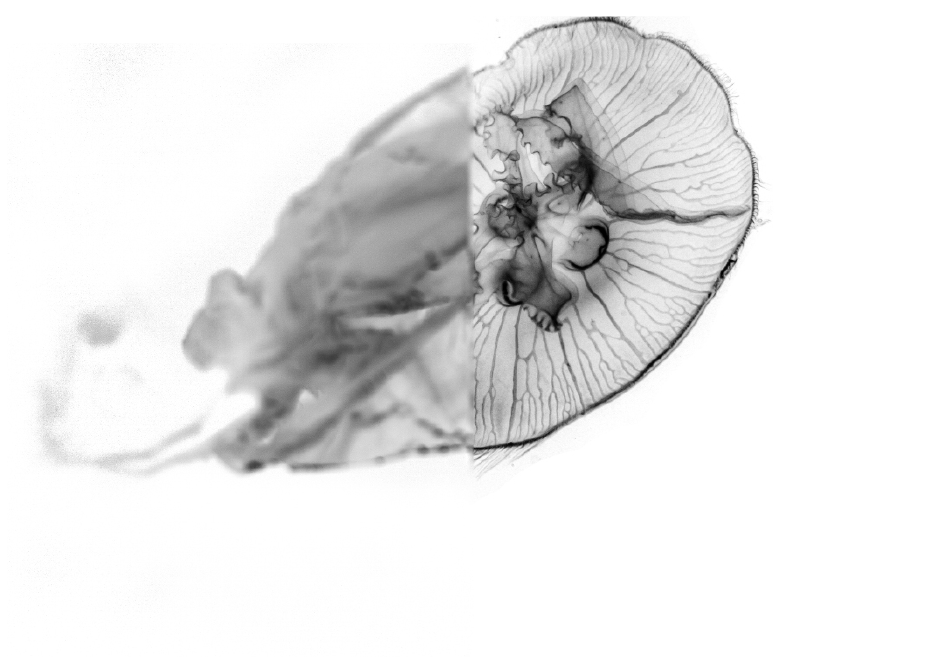 Screenshot (1346).png