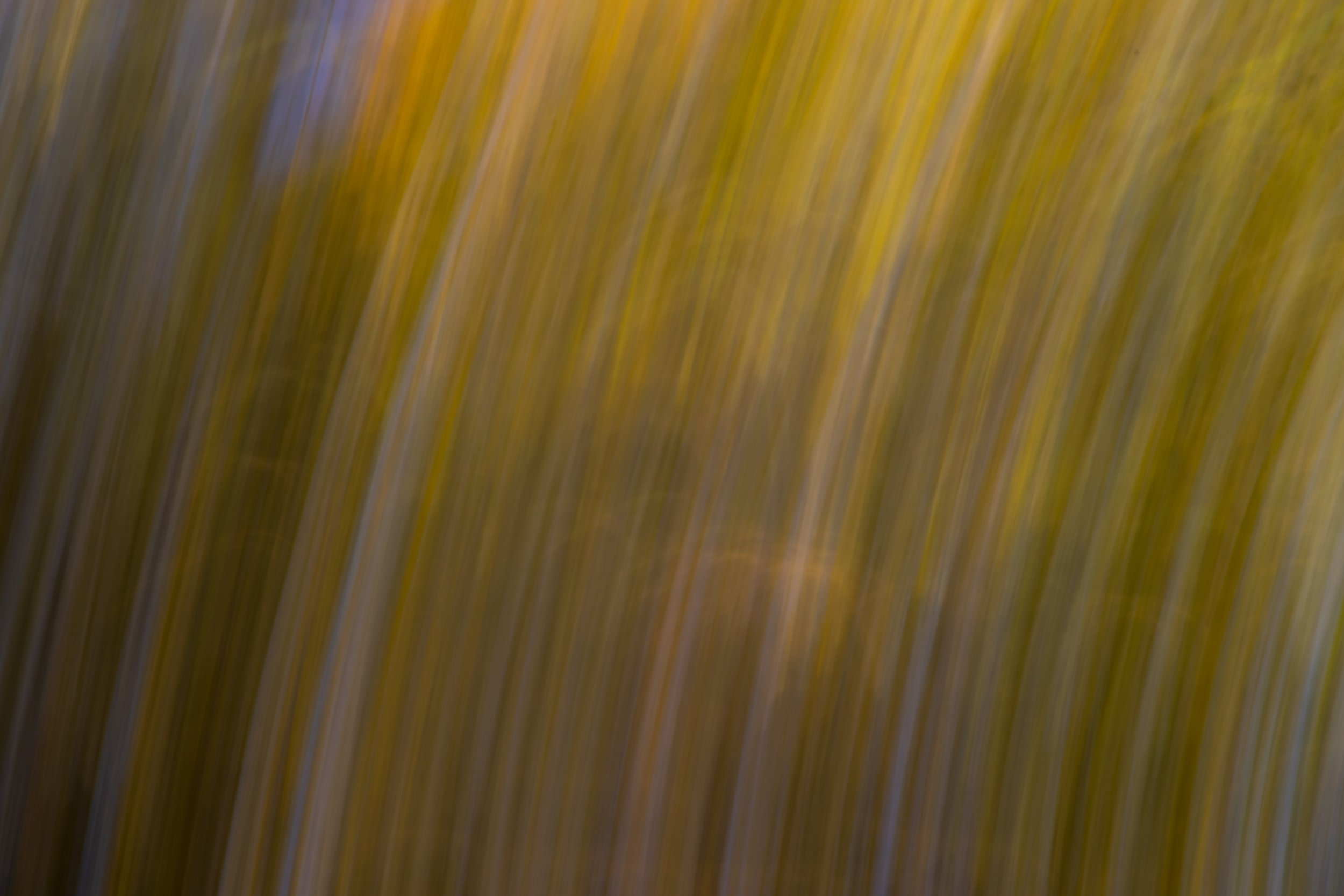 _MG_3669.jpg